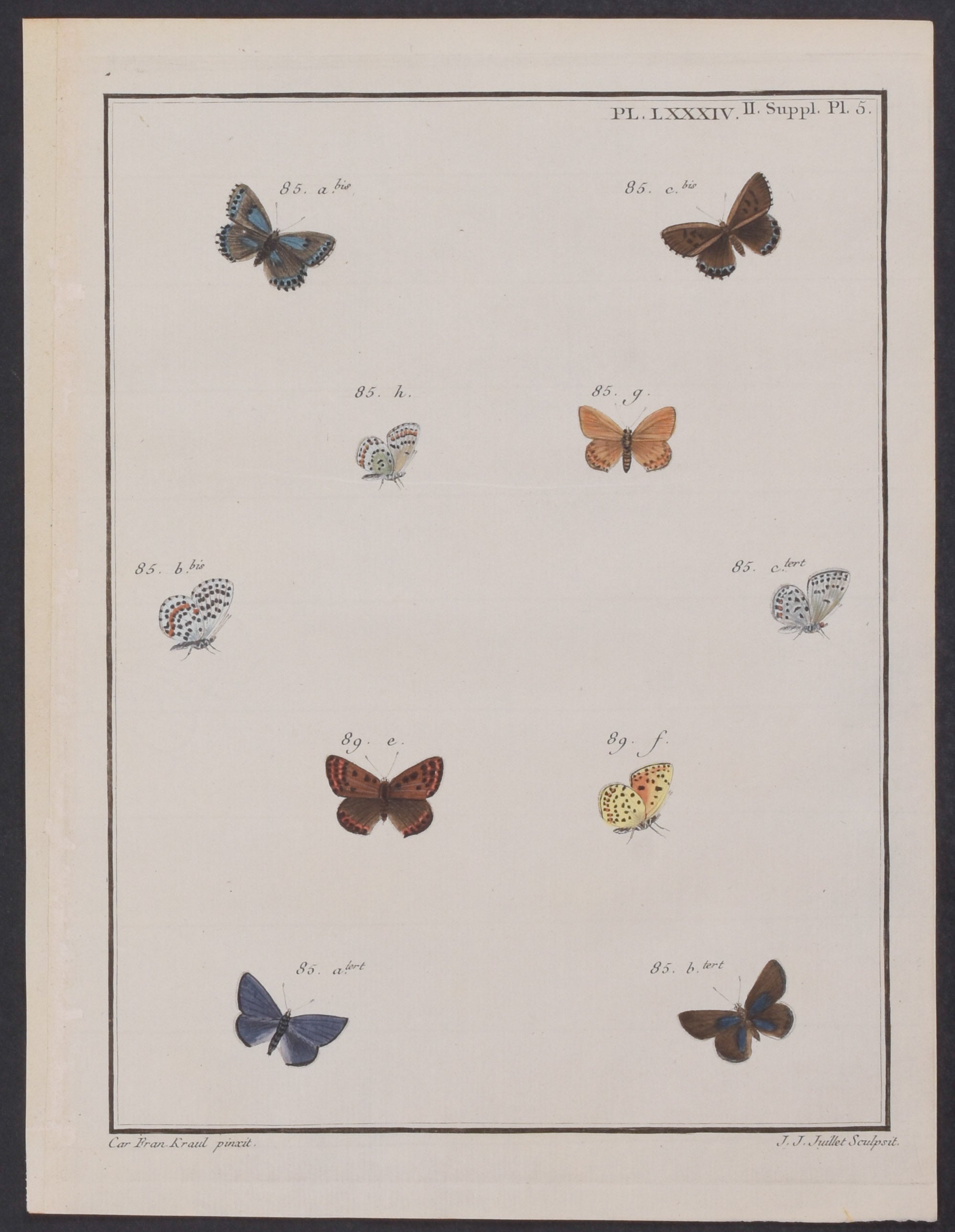 Butterflies