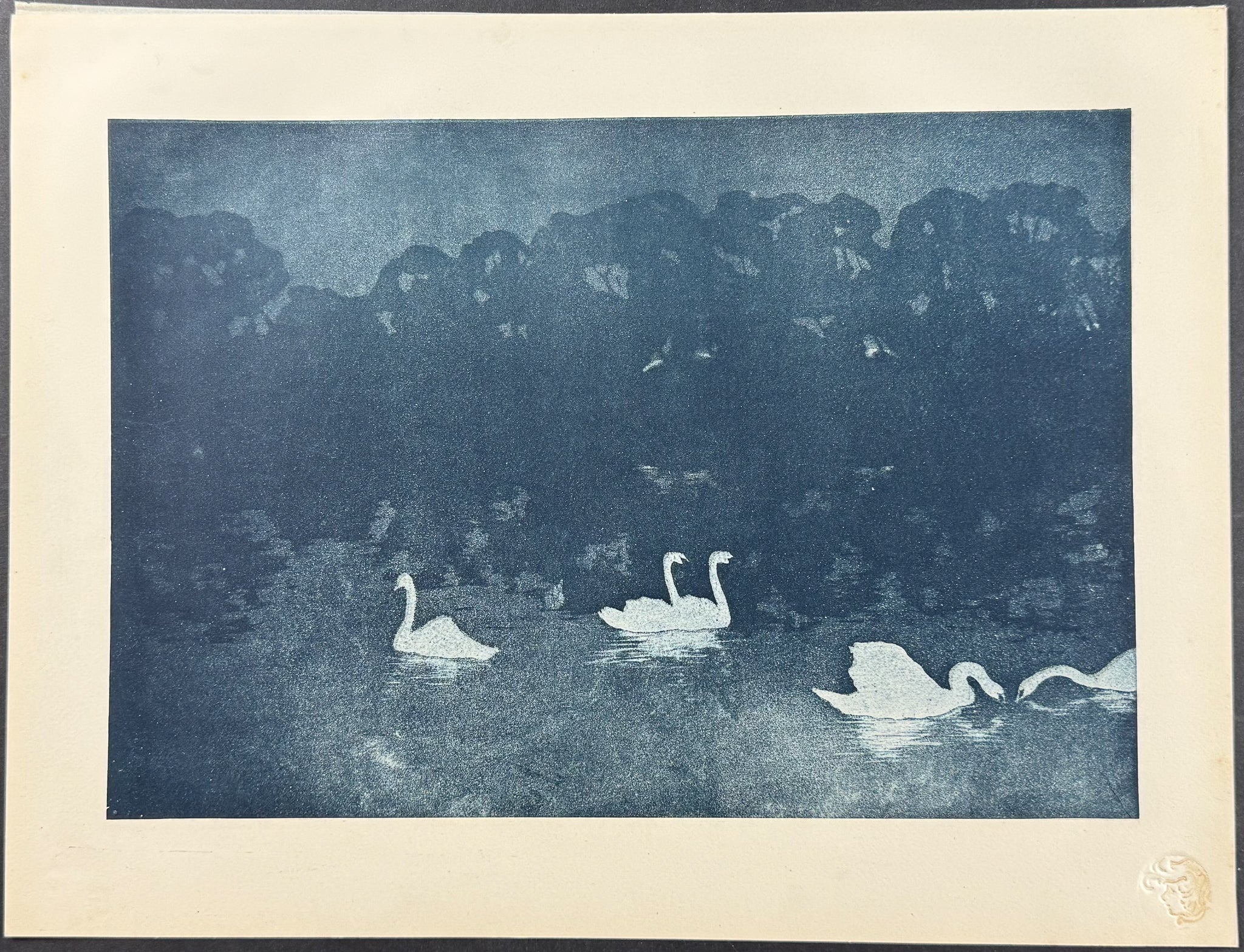 Les Cygnes