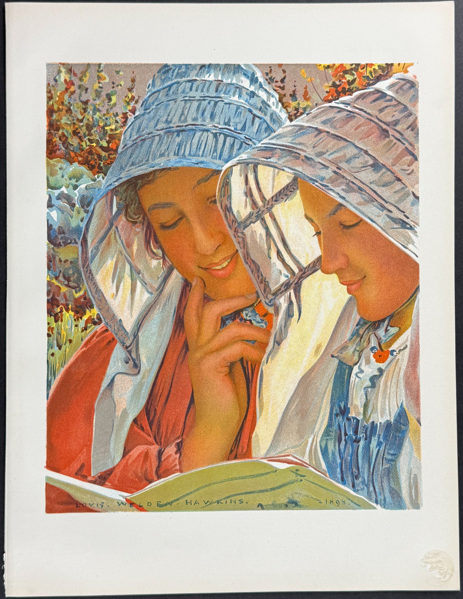 Liseuses