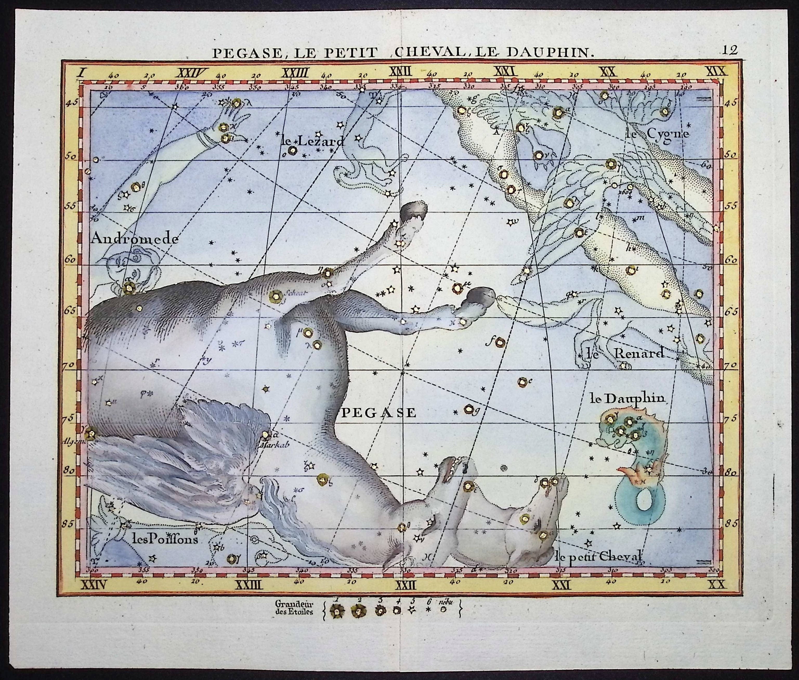 Constellation or Celestial Chart of Pegasus, Horse, Dolphin