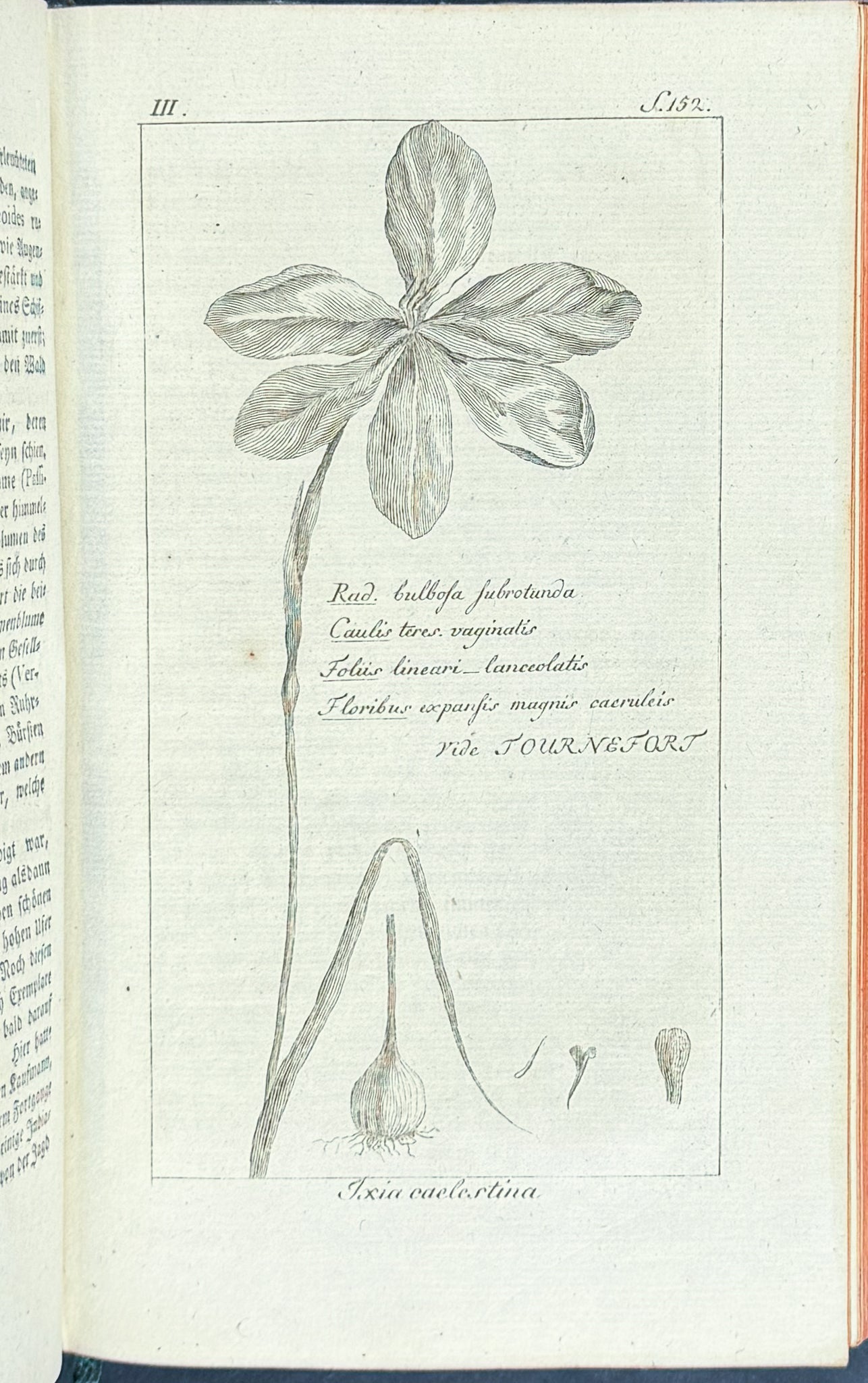 Forster's Magazin - 2 Volumes with 12 Engravings