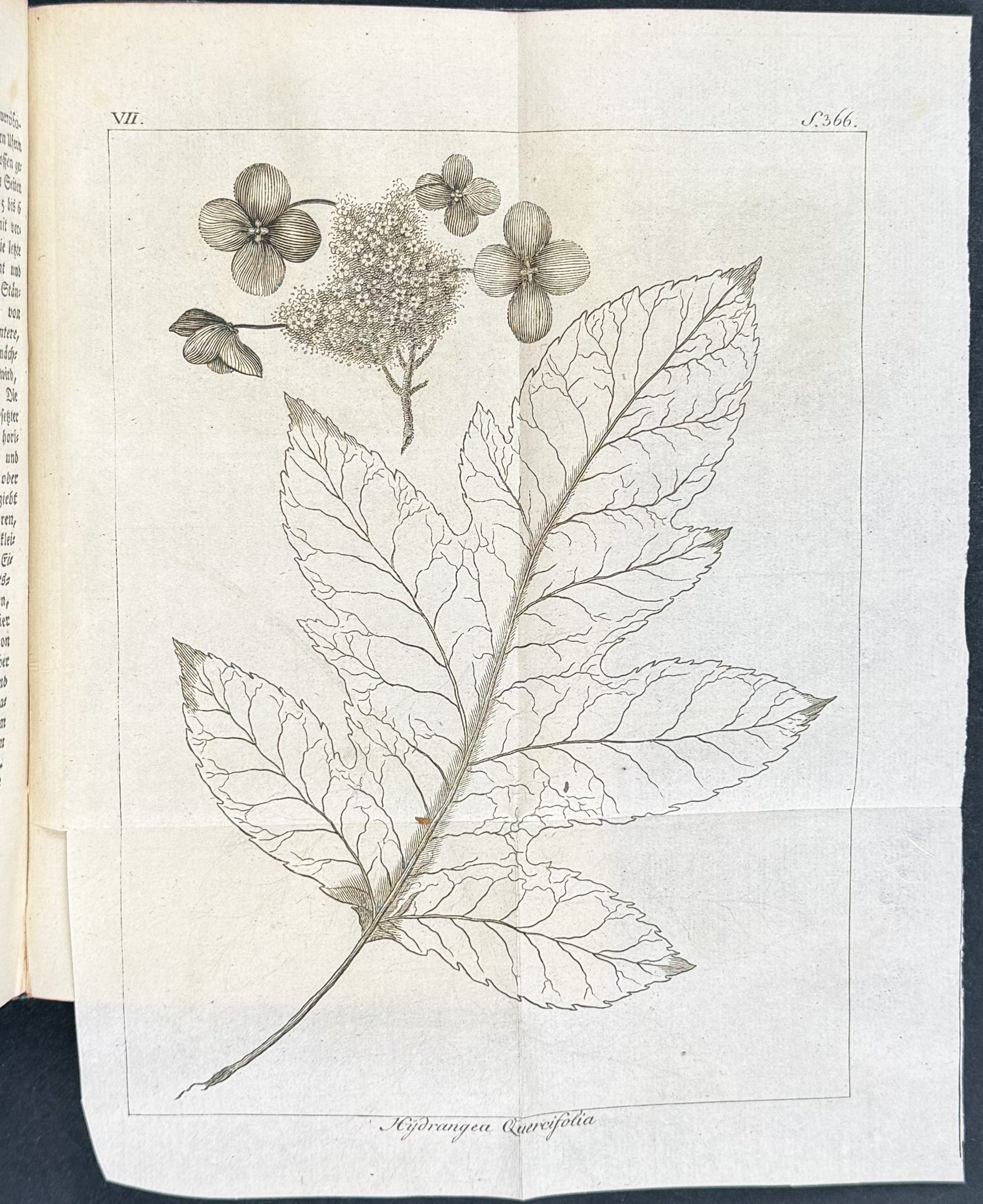 Forster's Magazin - 2 Volumes with 12 Engravings
