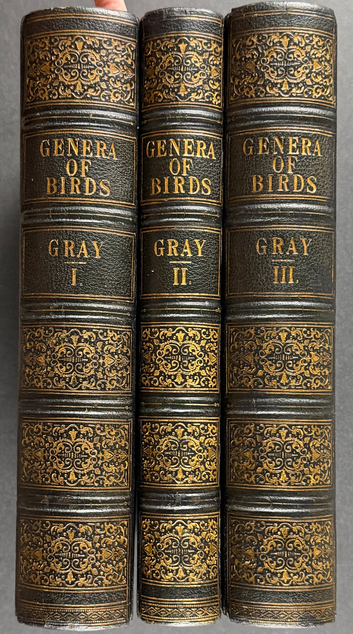 The Genera of Birds