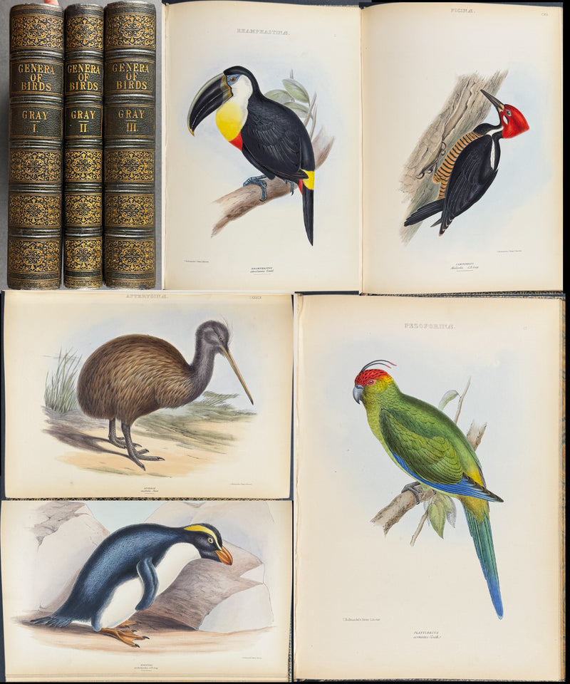 The Genera of Birds