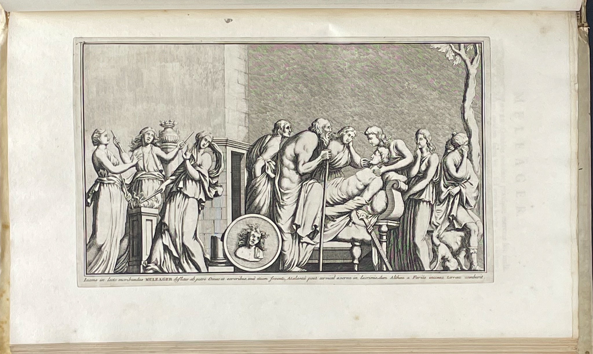 Gronovius's Thesaurus Graecarum Antiquitatum - 13 Volumes with 420 Full Page Engravings