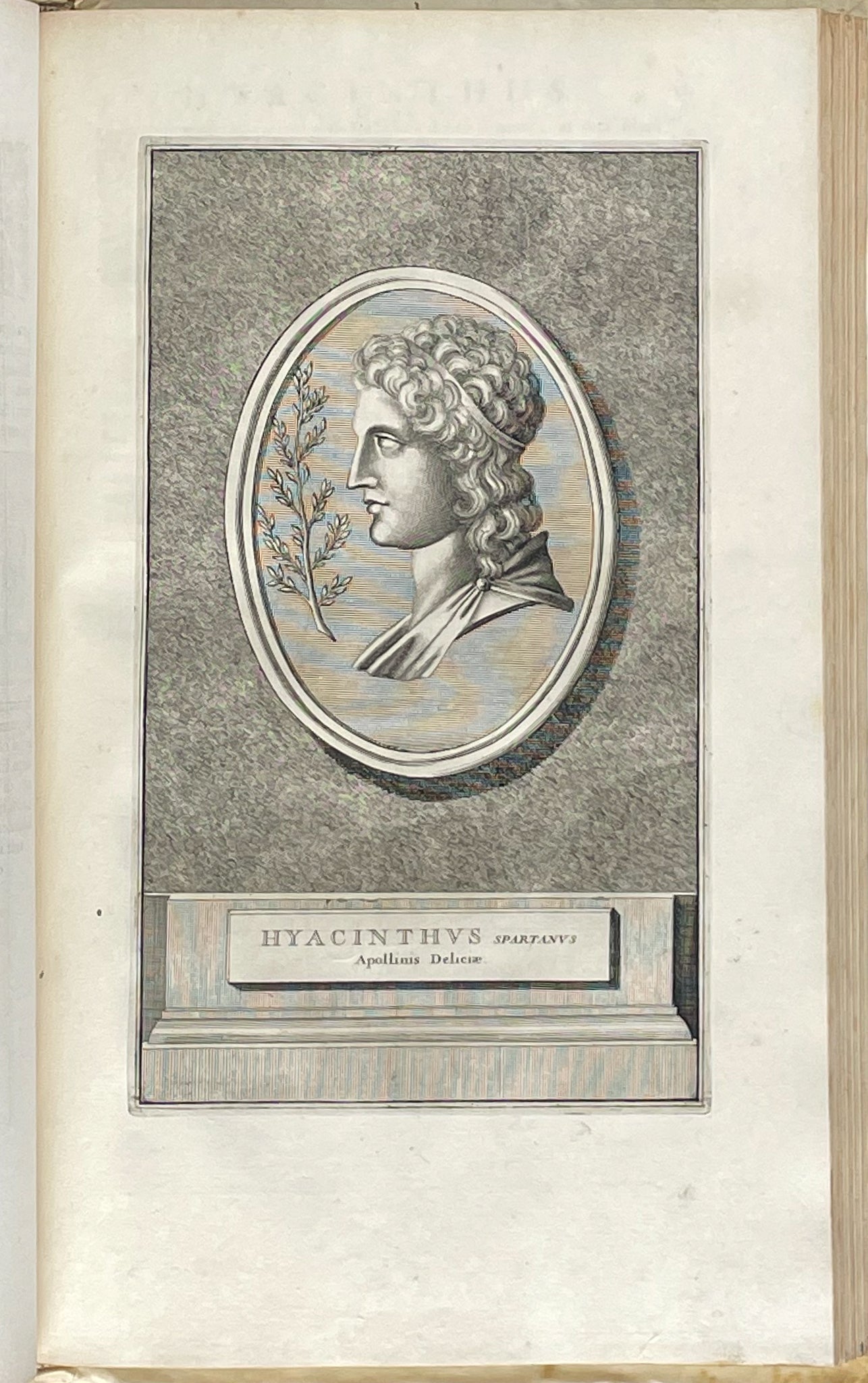 Gronovius's Thesaurus Graecarum Antiquitatum - 13 Volumes with 420 Full Page Engravings