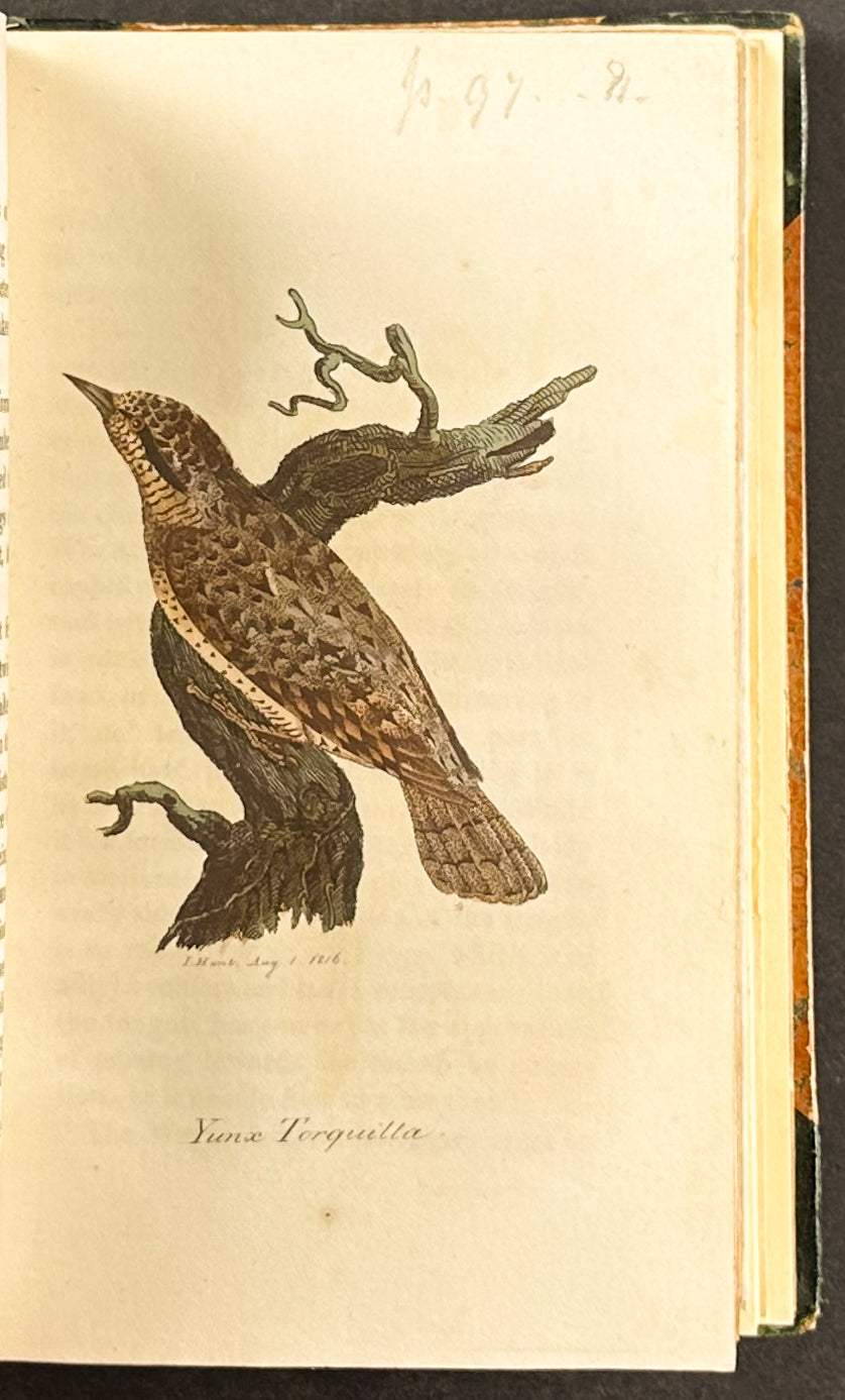 Smith's British Ornithology - 3 Volumes with 177 Originally Hand-colored Engravings