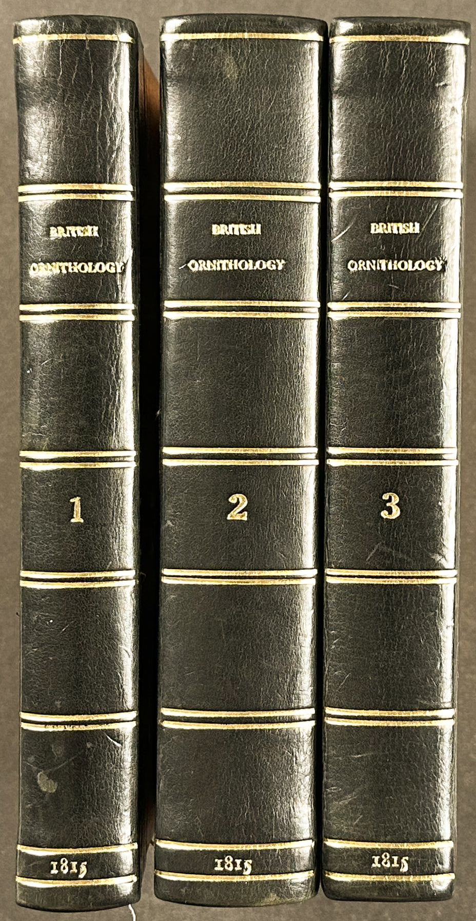 Smith's British Ornithology - 3 Volumes with 177 Originally Hand-colored Engravings