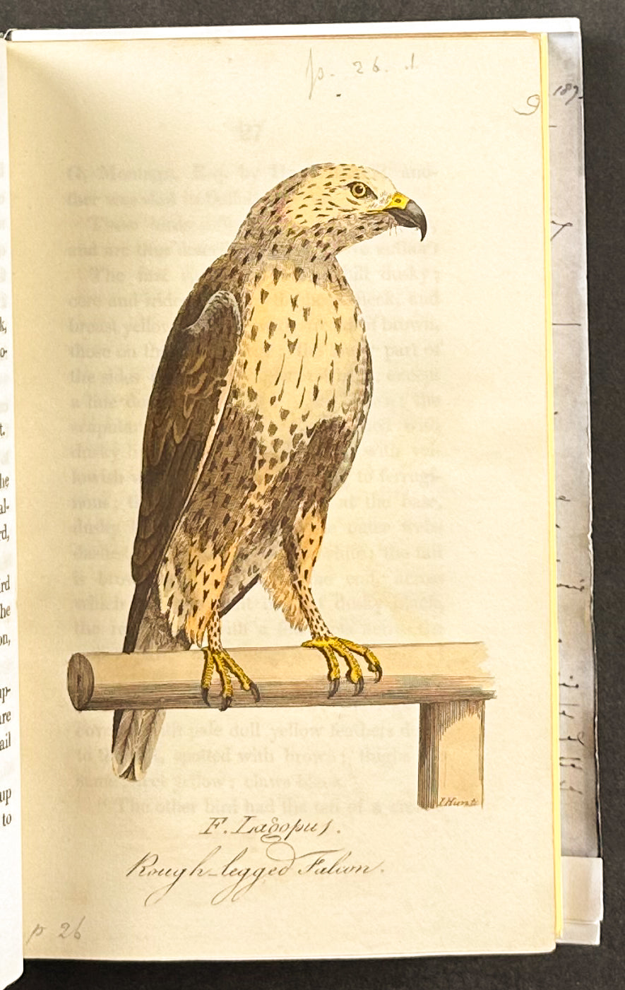 Smith's British Ornithology - 3 Volumes with 177 Originally Hand-colored Engravings