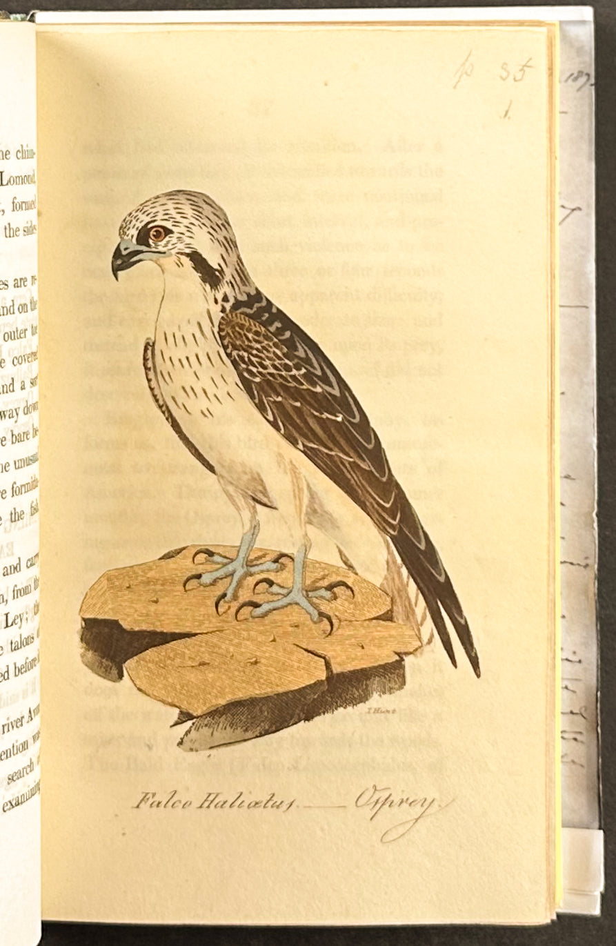 Smith's British Ornithology - 3 Volumes with 177 Originally Hand-colored Engravings