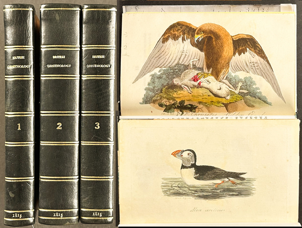 Smith's British Ornithology - 3 Volumes with 177 Originally Hand-colored Engravings