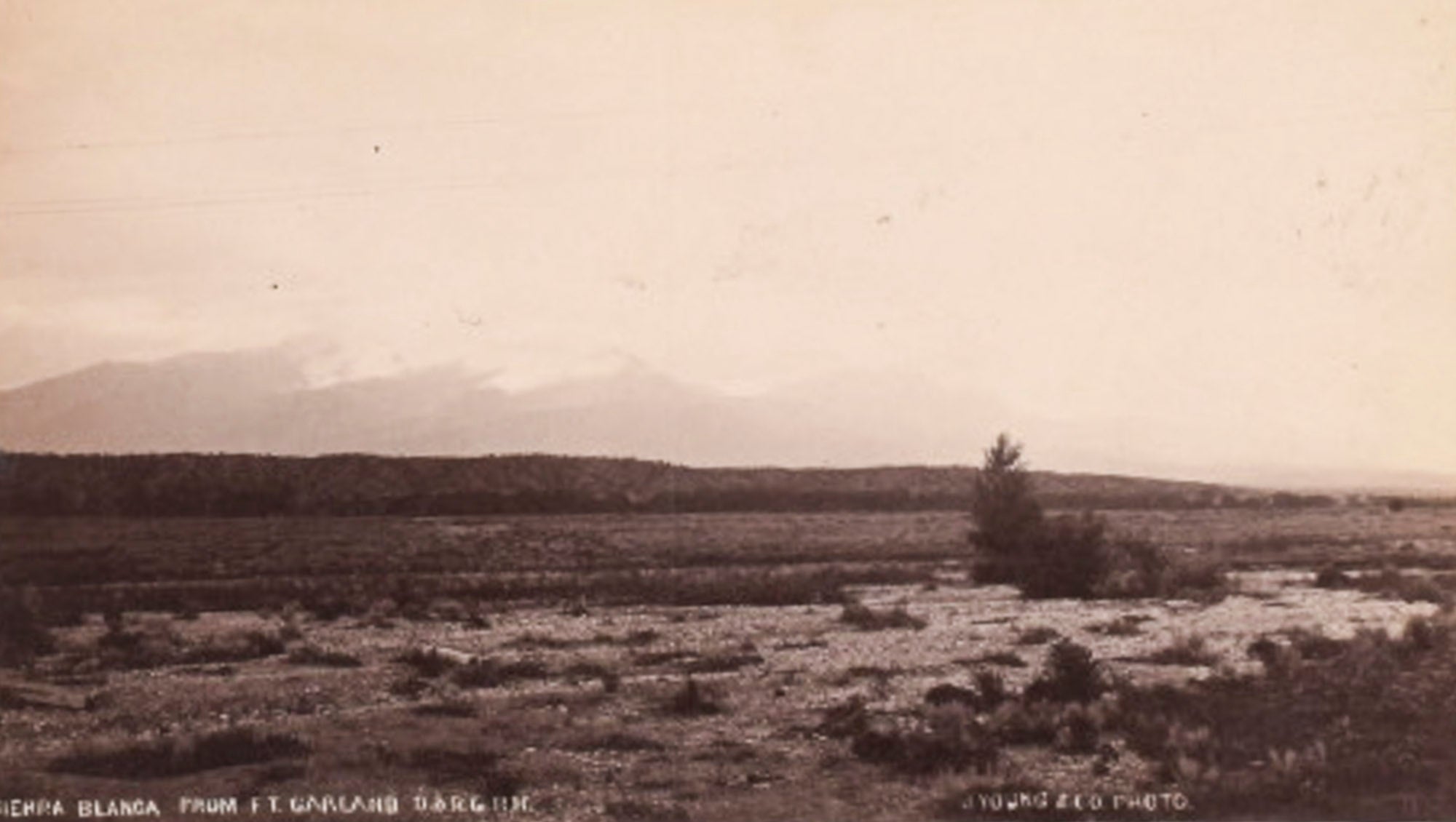 Sierre Blanca from F. T. Garland