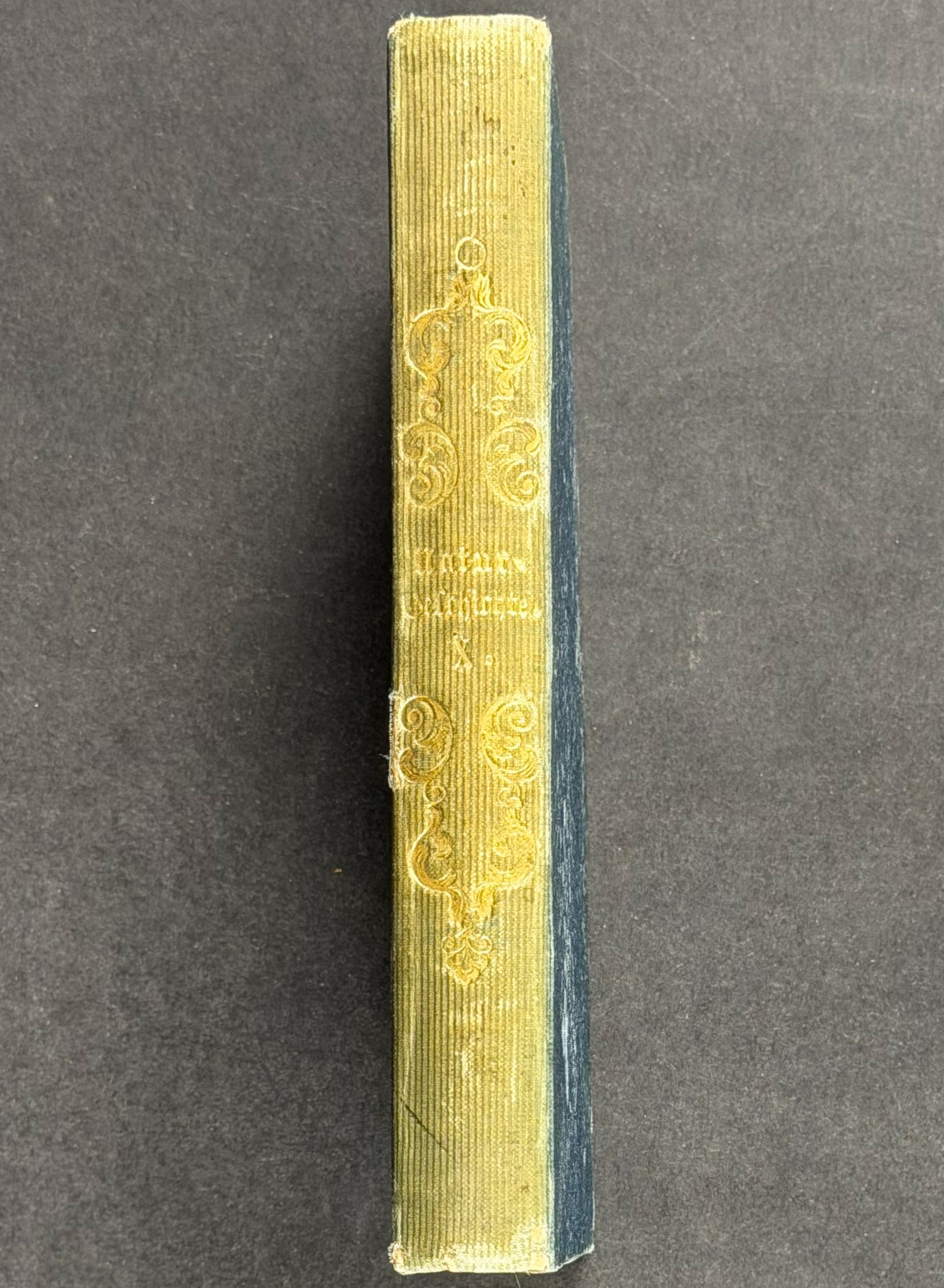 Jardine & Selby's Parrots - Volume with 30 Originally Hand-colored Engravings