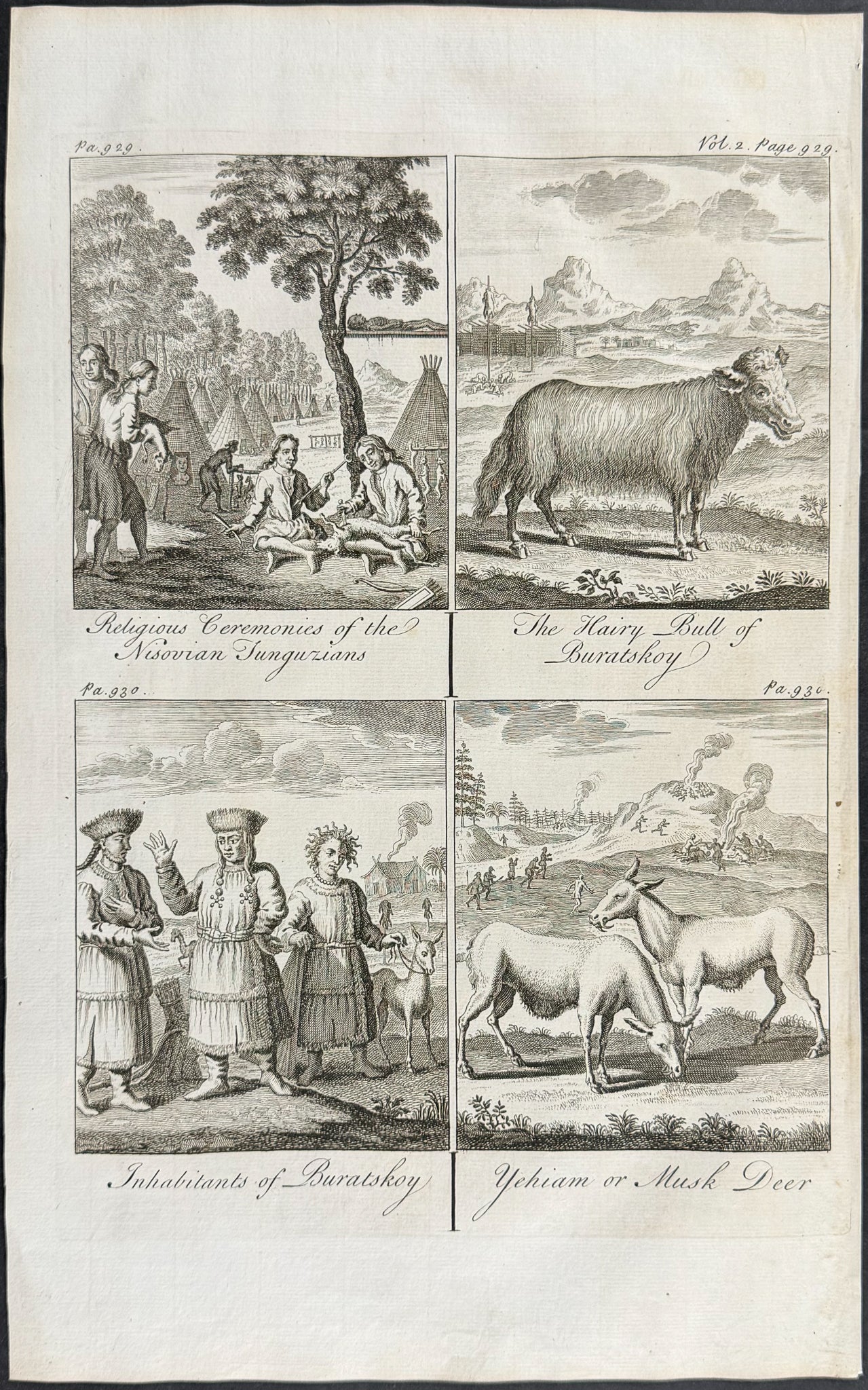 Central Asian Animals & Peoples