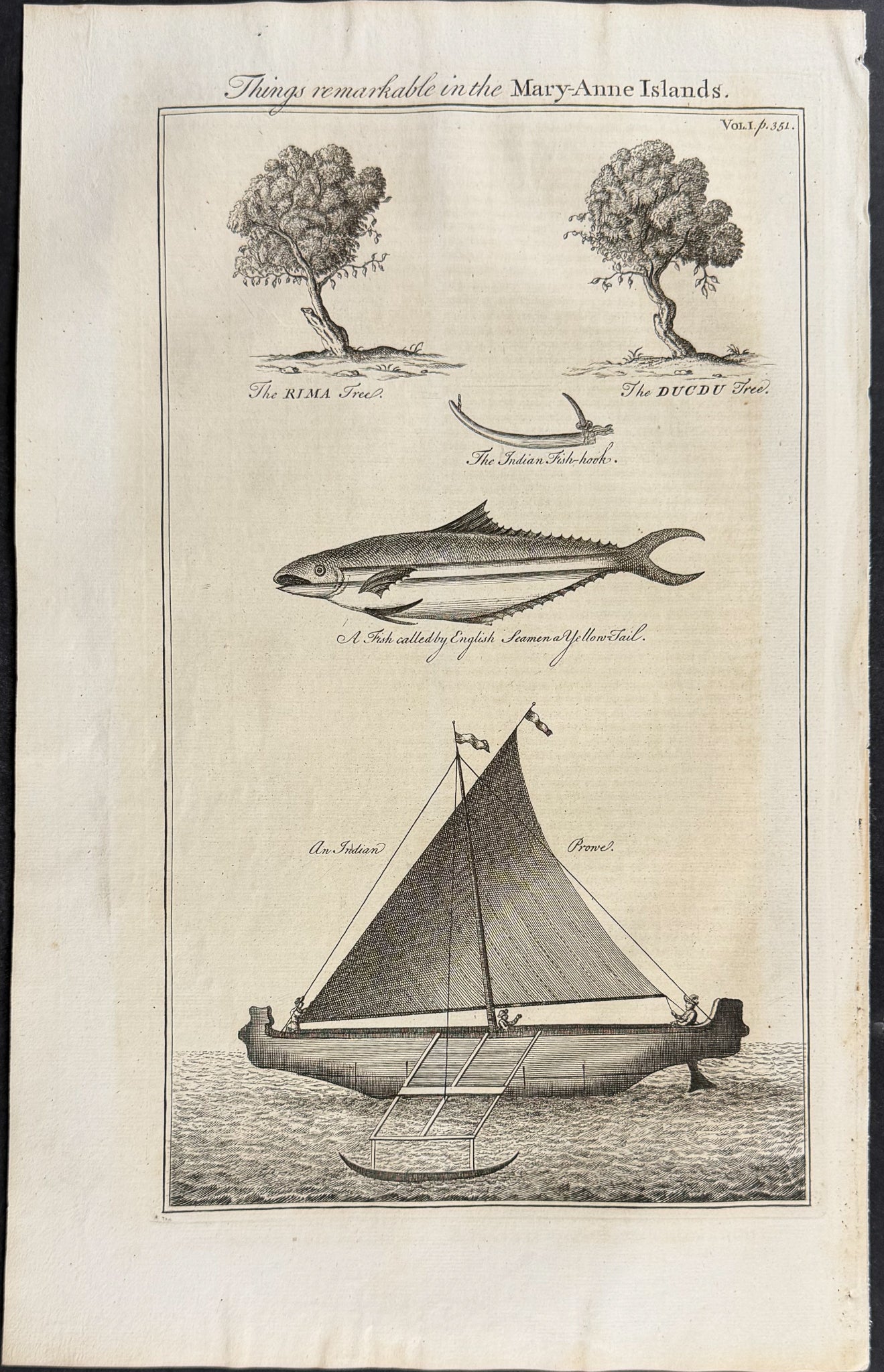 Trees, Fish, and a Boat from the Mary-Anne Islands