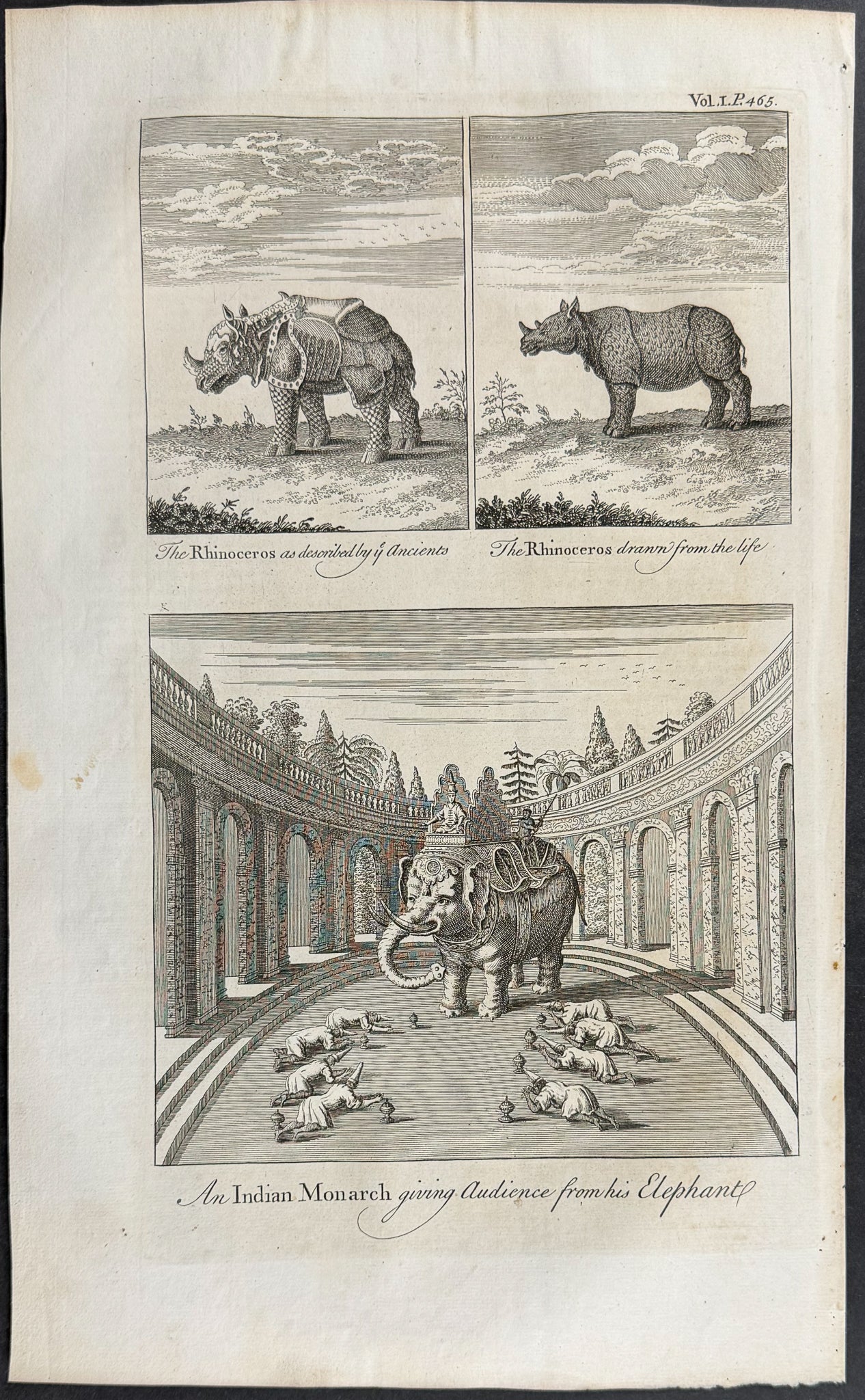 Indian Rhinoceros, Elephant, and People