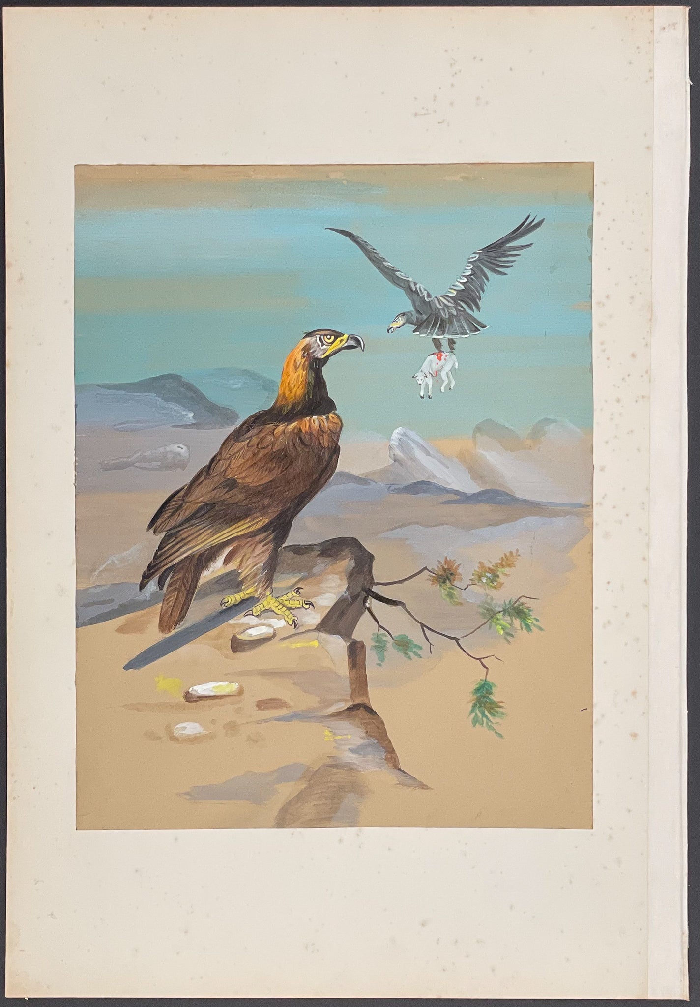 Golden Eagle