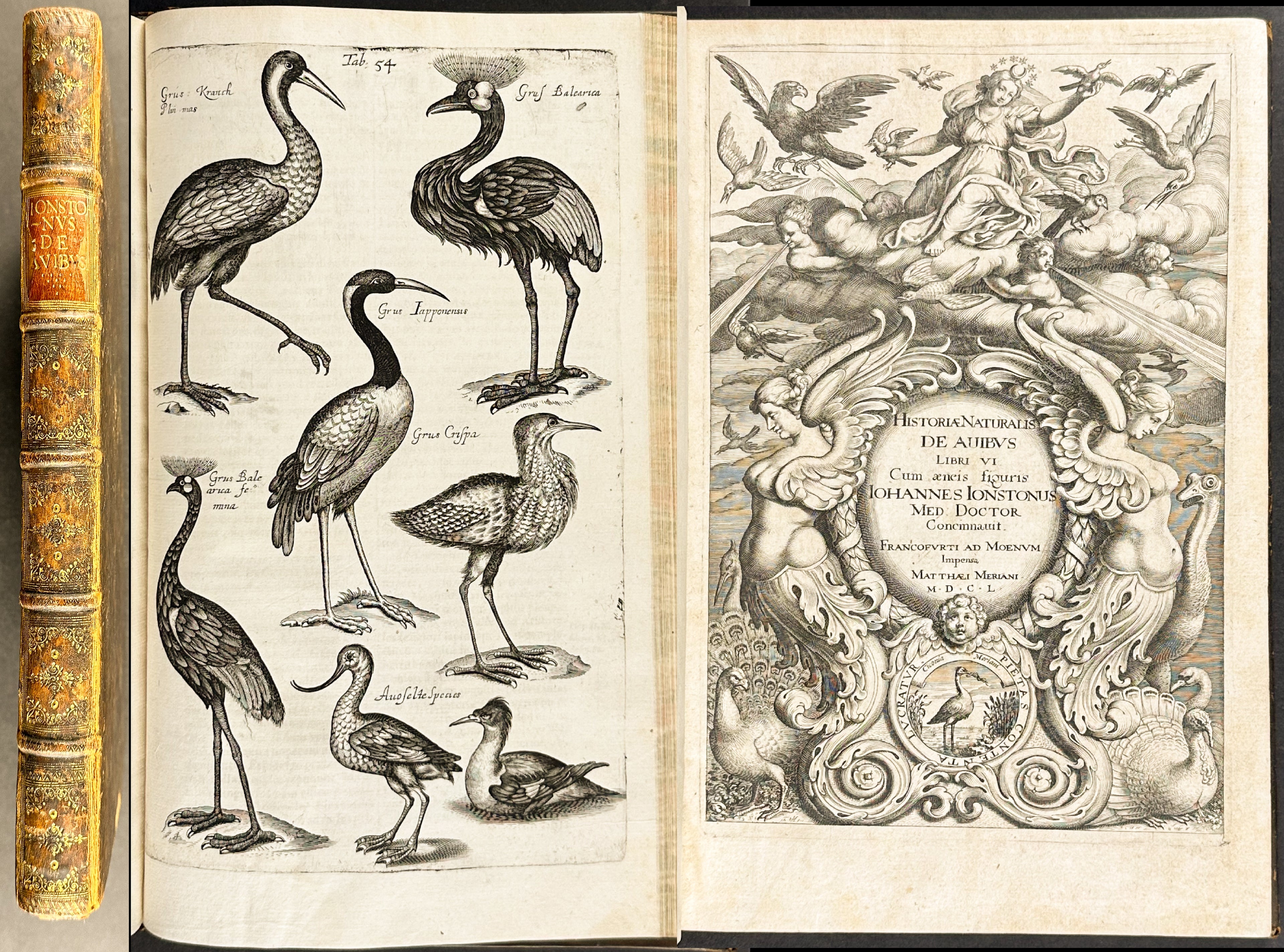 Historiae Naturalis de Quadrupedibus [A Natural History of Quadrupeds]