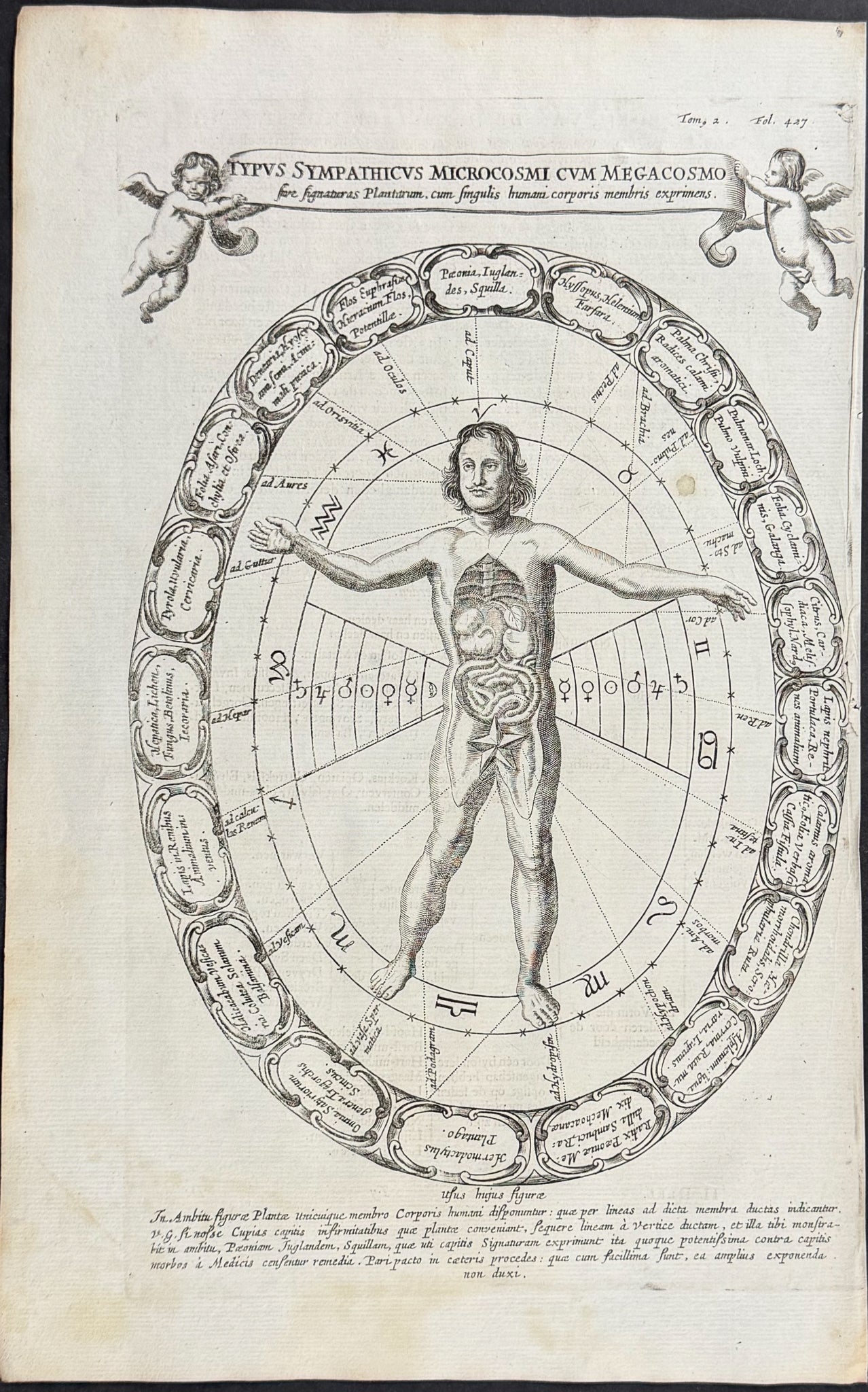 Diagram of Human Form charting Magnetism and the Cosmos