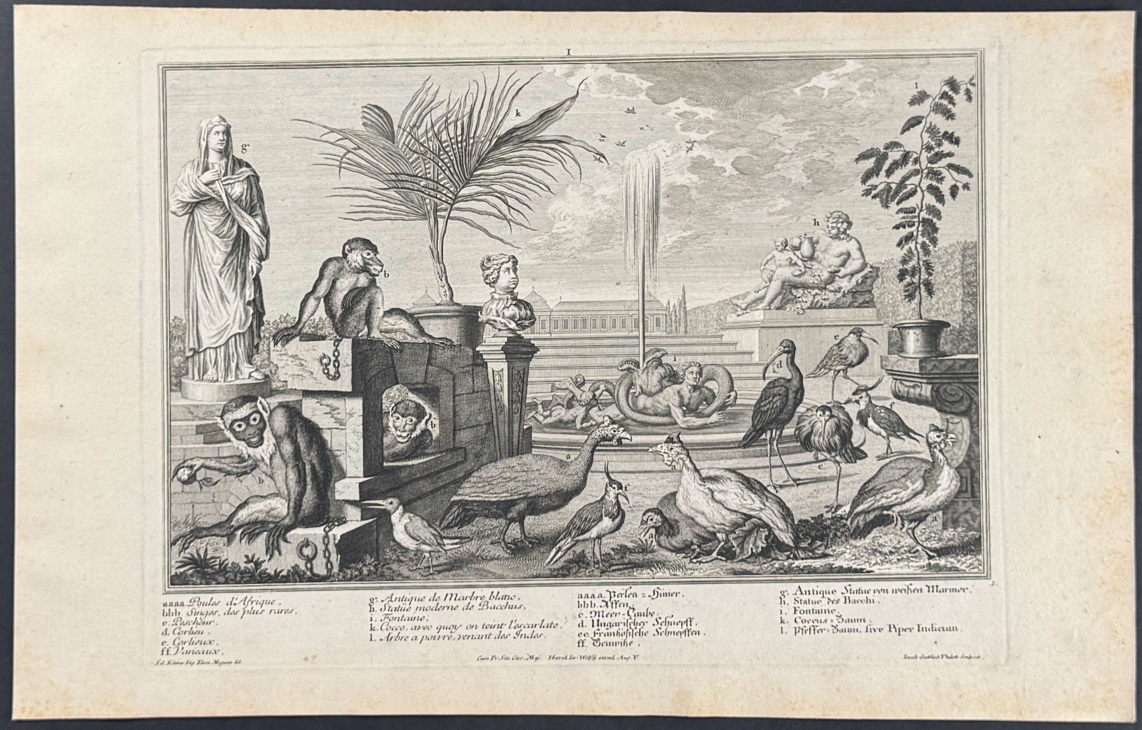 Animal Menagerie (Monkey or Primates, Ibis, Hens or Roosters, Birds)