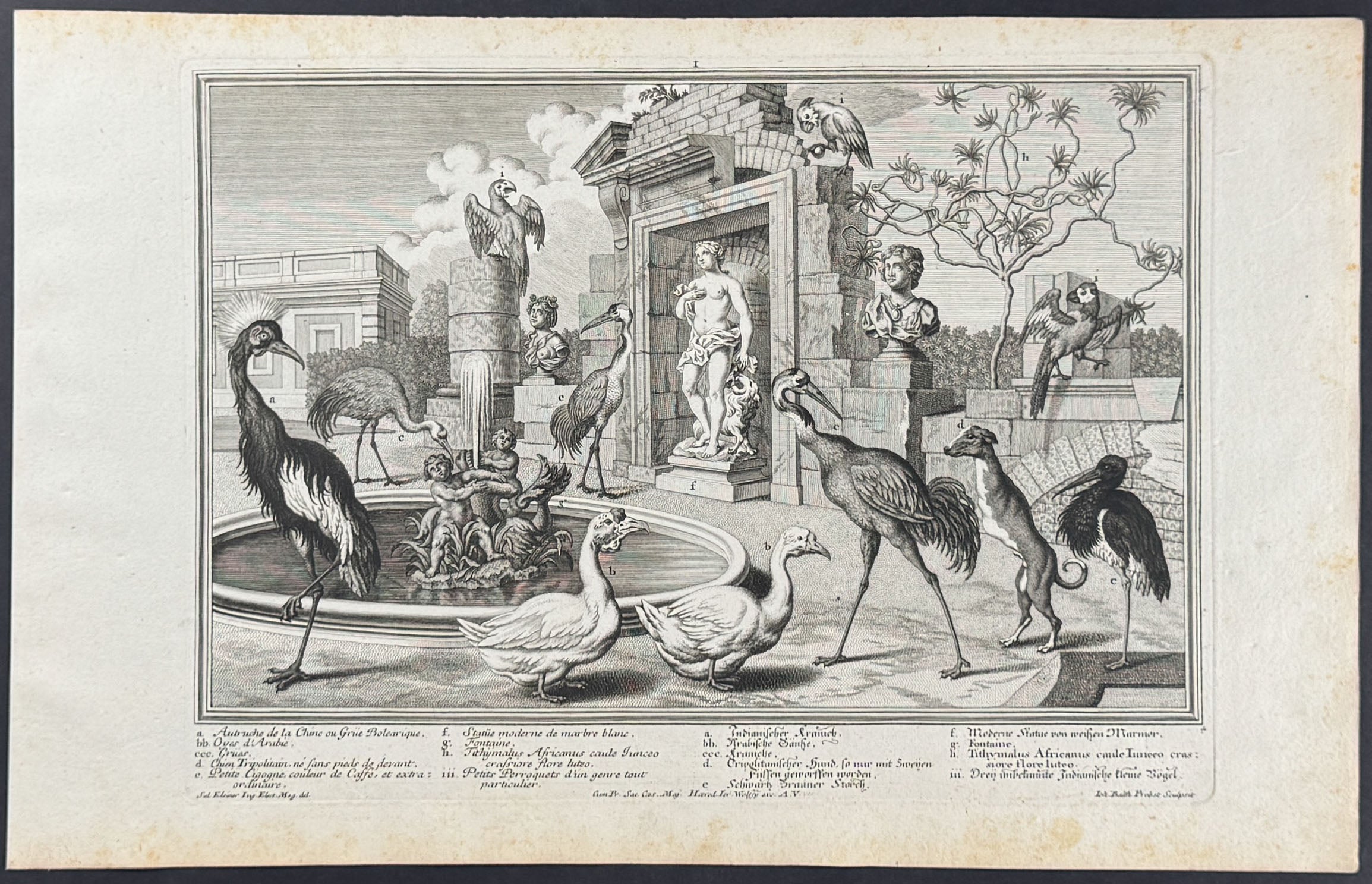 Animal Menagerie (Cranes or Herons, Swan, Parrot or Macaw, Two-legged Dog)