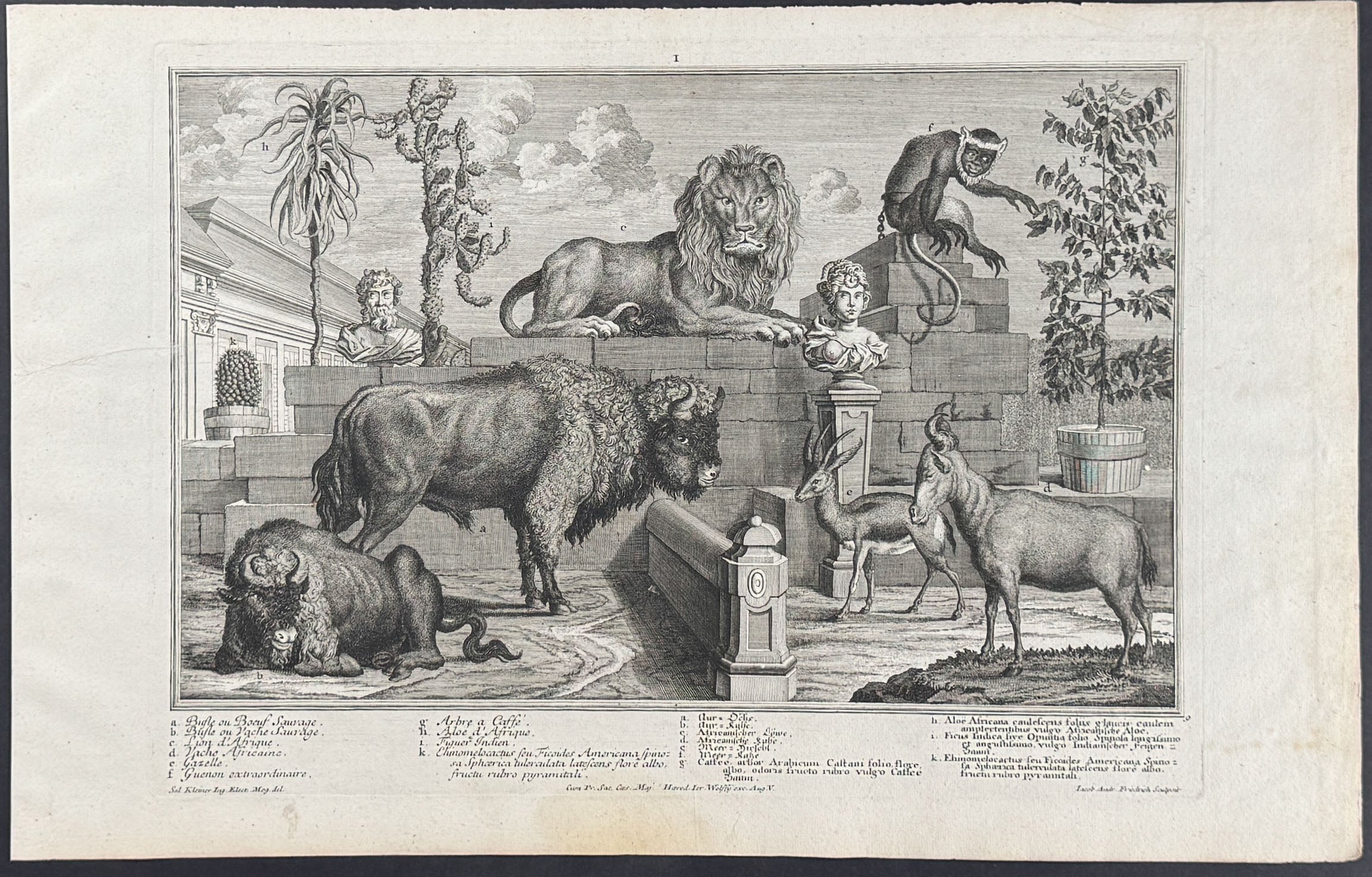 Animal Menagerie (Lion, Buffalo or Bison, Antelope, Monkey or Primate)