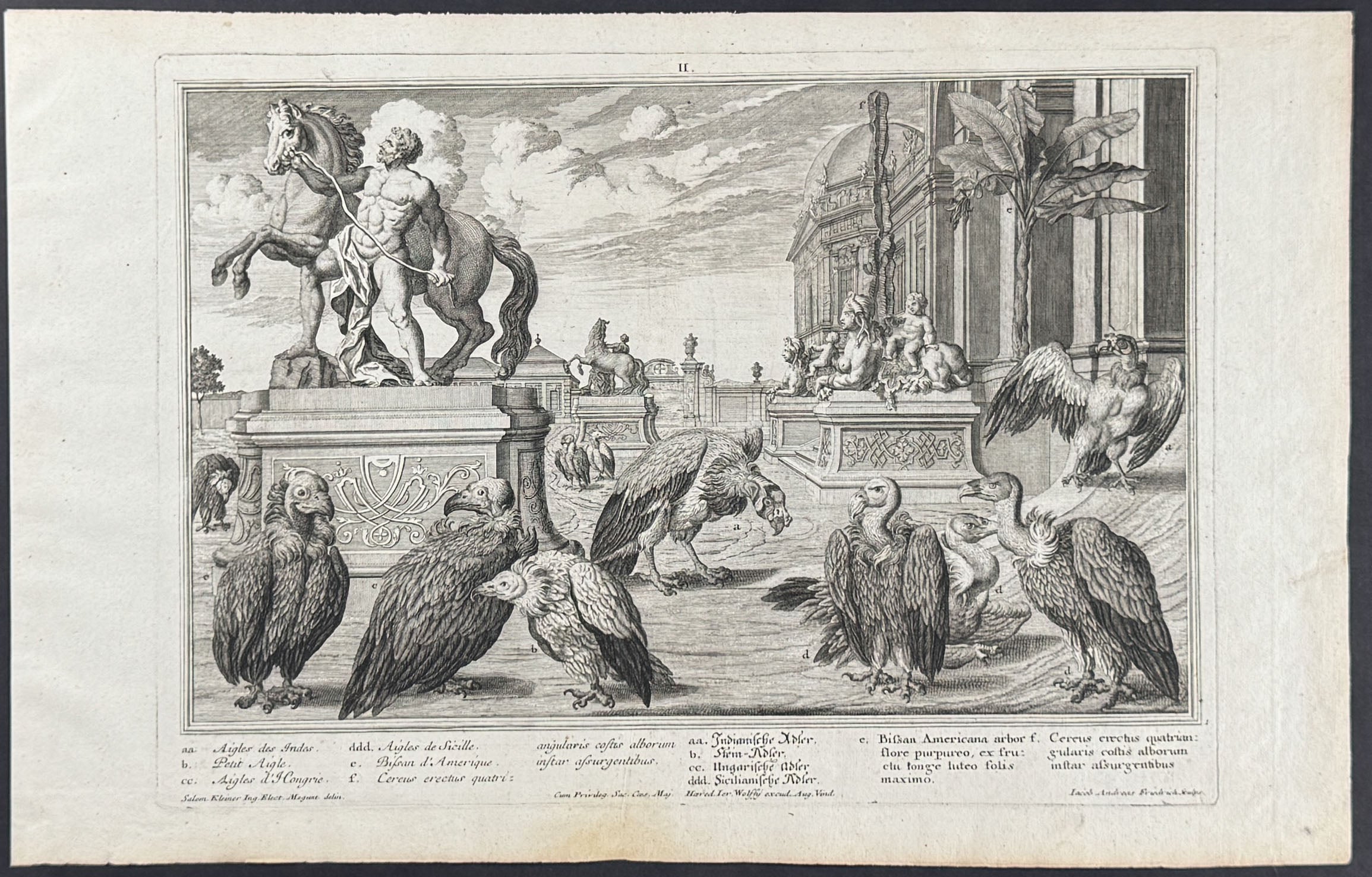 Animal Menagerie (Vulture)