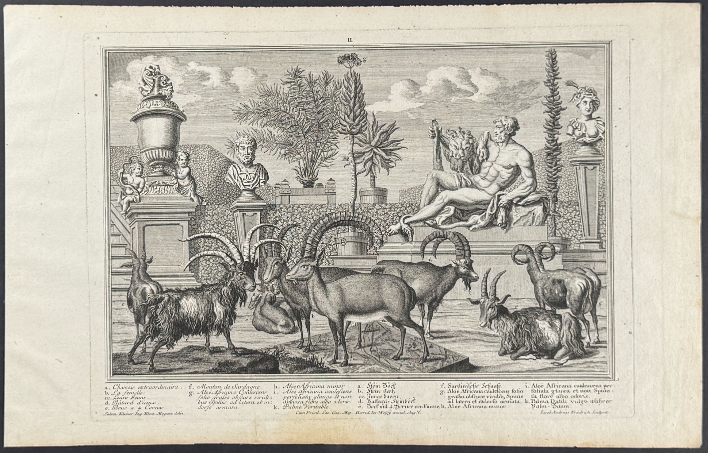 Animal Menagerie (Goat or Ram)