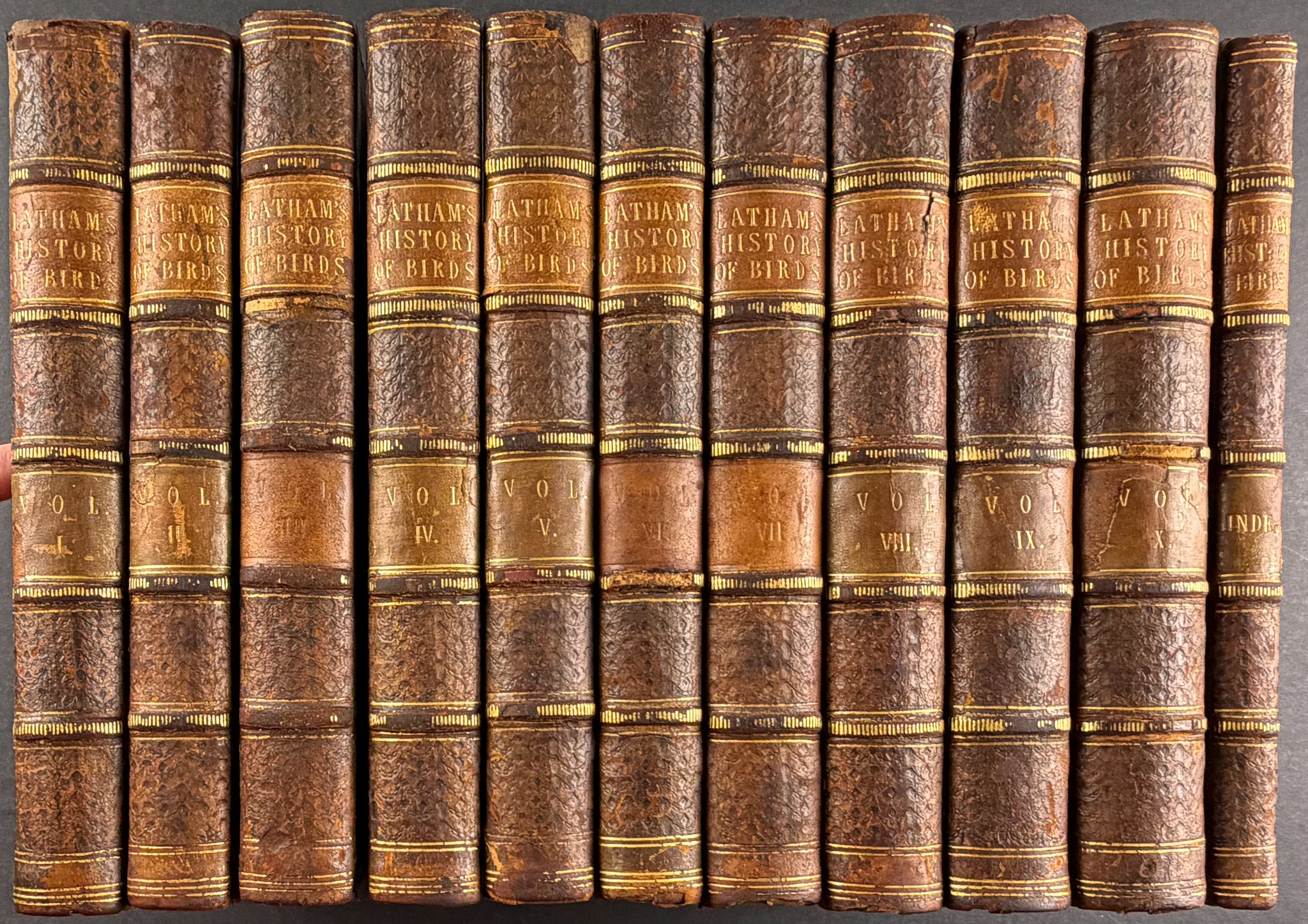 A General History of Birds