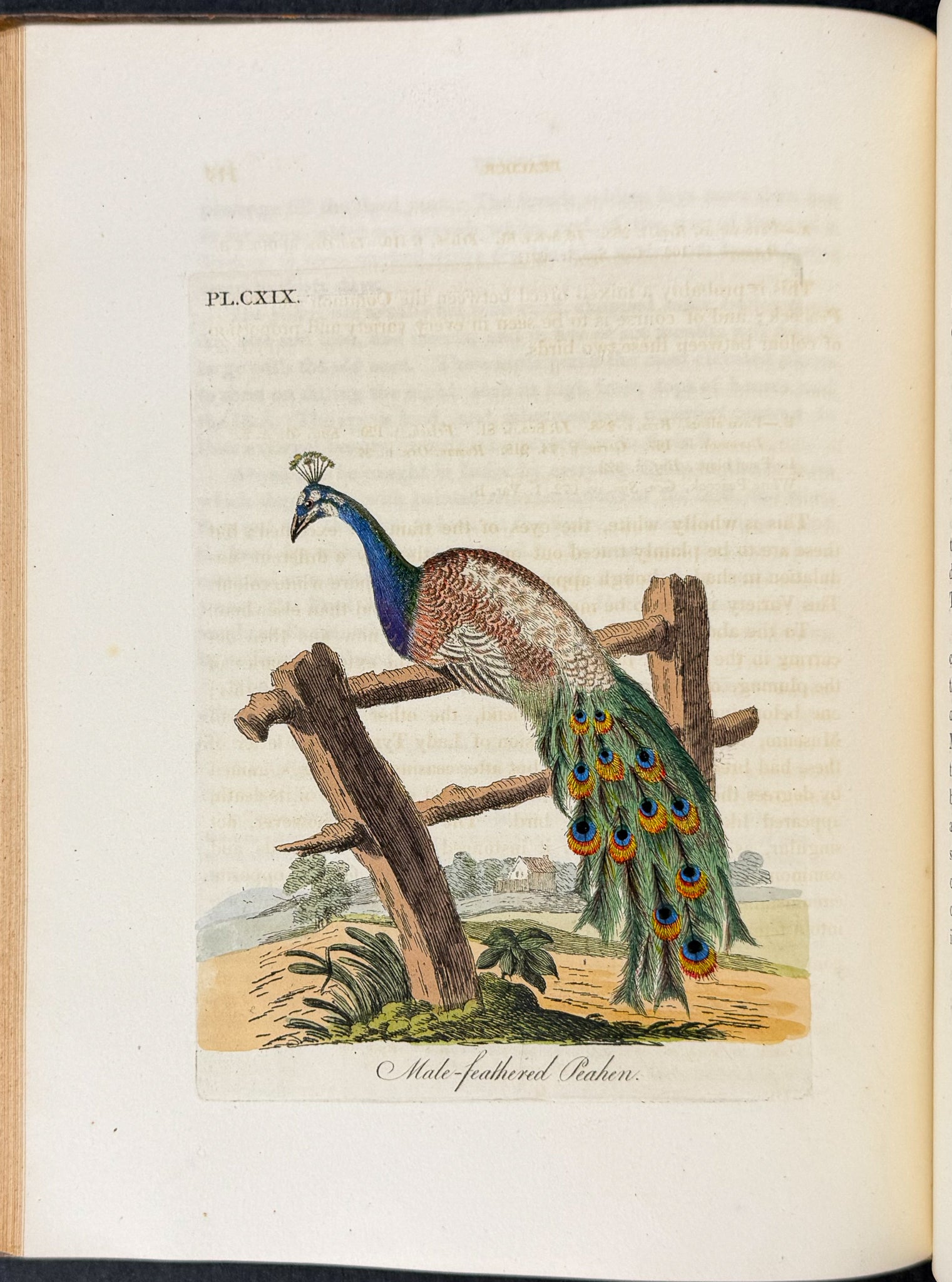 A General History of Birds