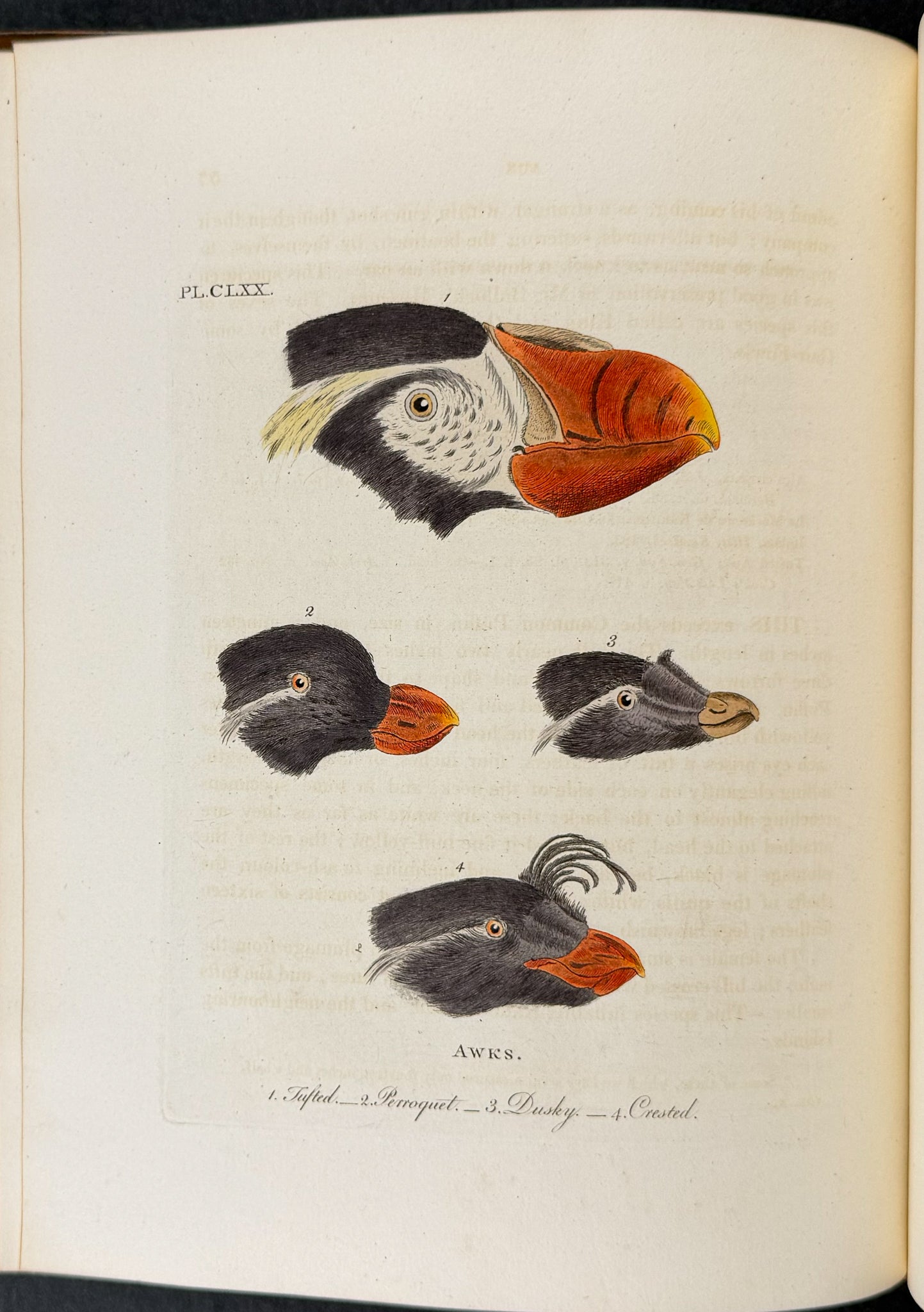 A General History of Birds