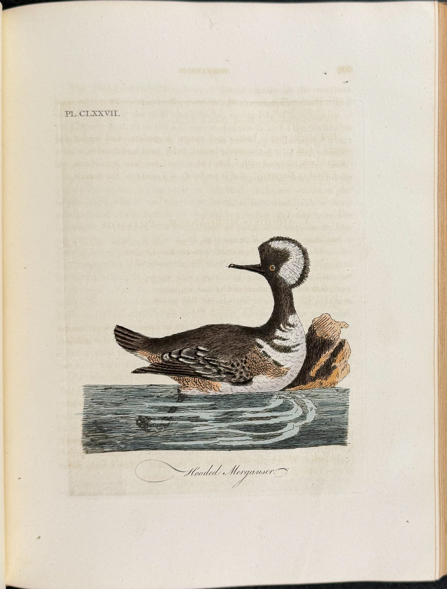 A General History of Birds