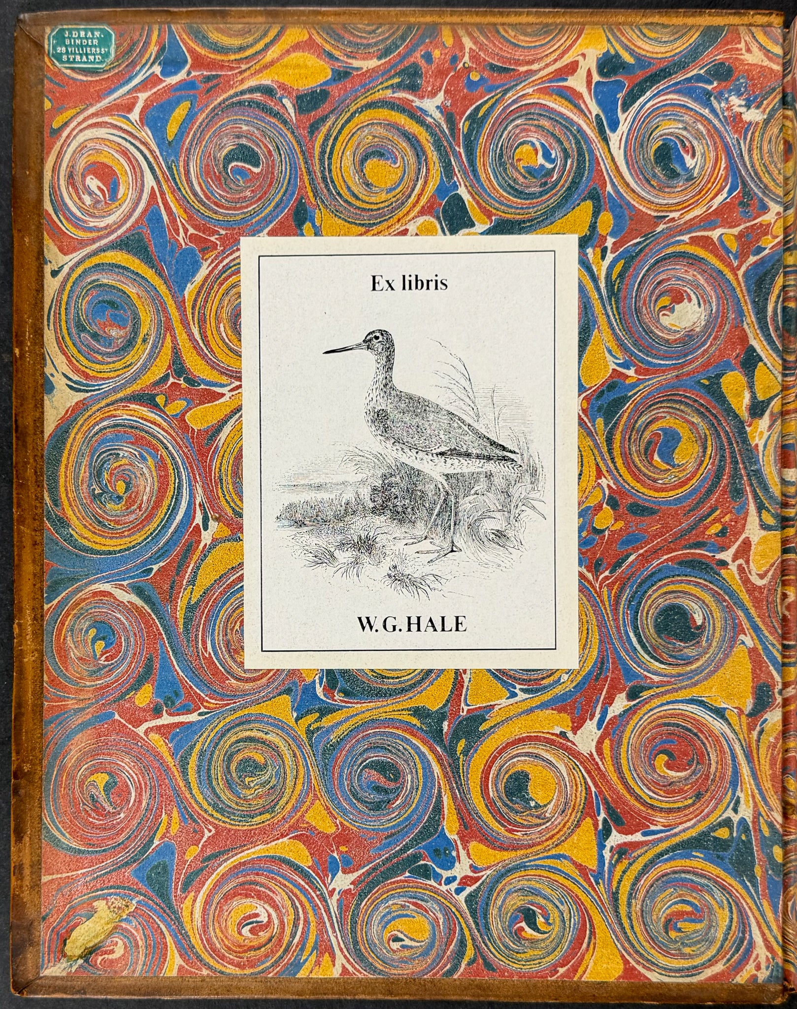 A General History of Birds