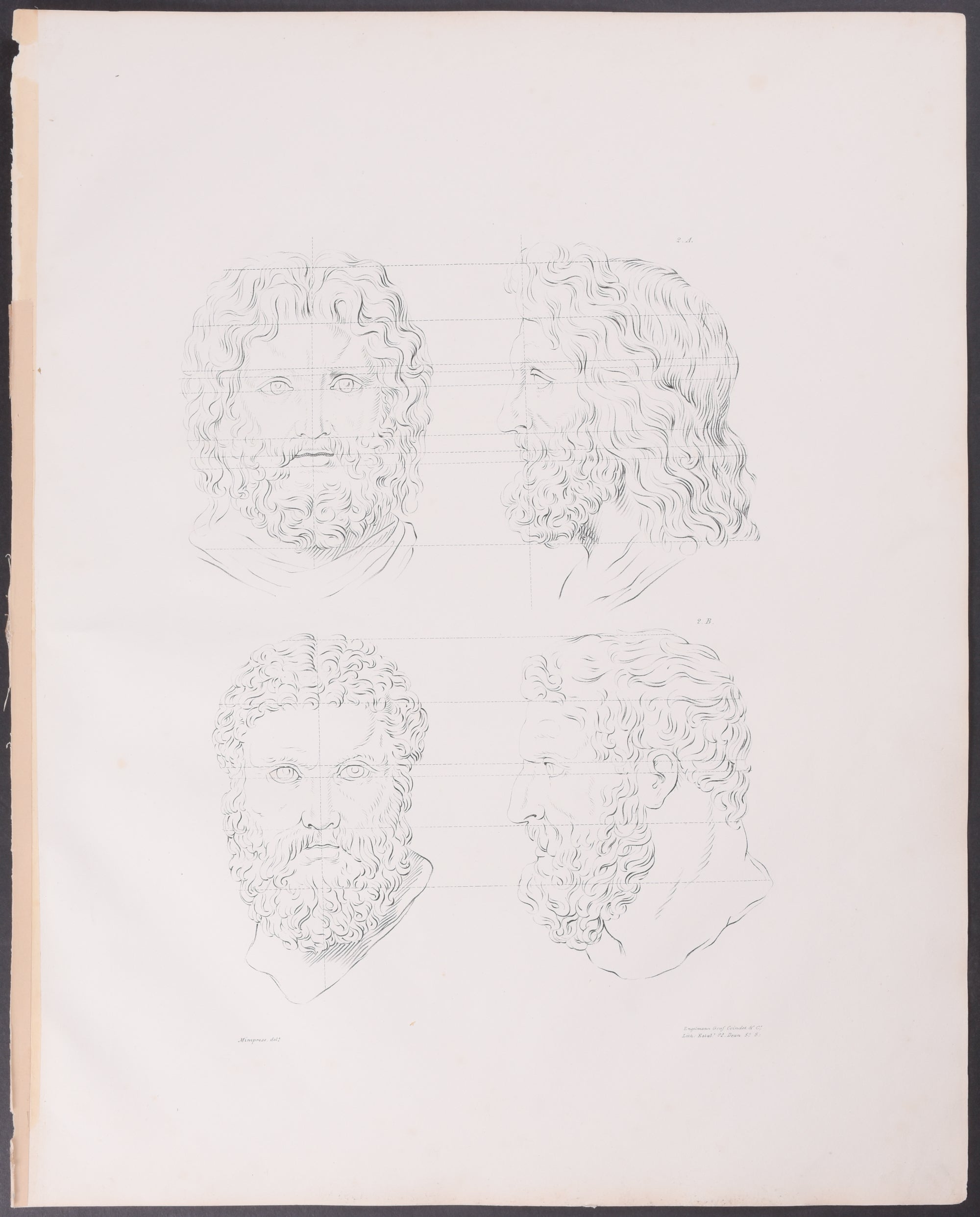 Heads of Jupiter and Hercule