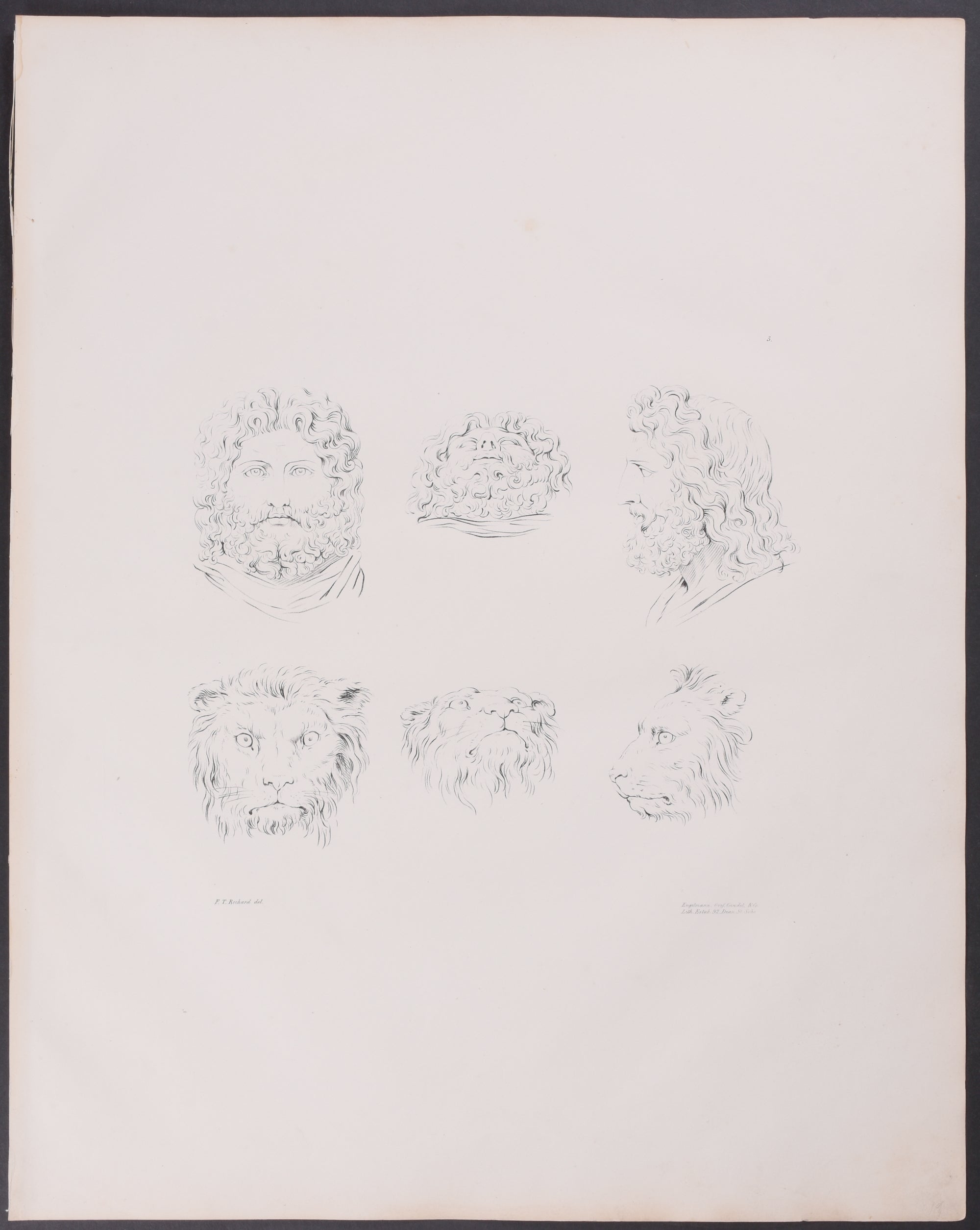 Heads of Jupiter and Lions