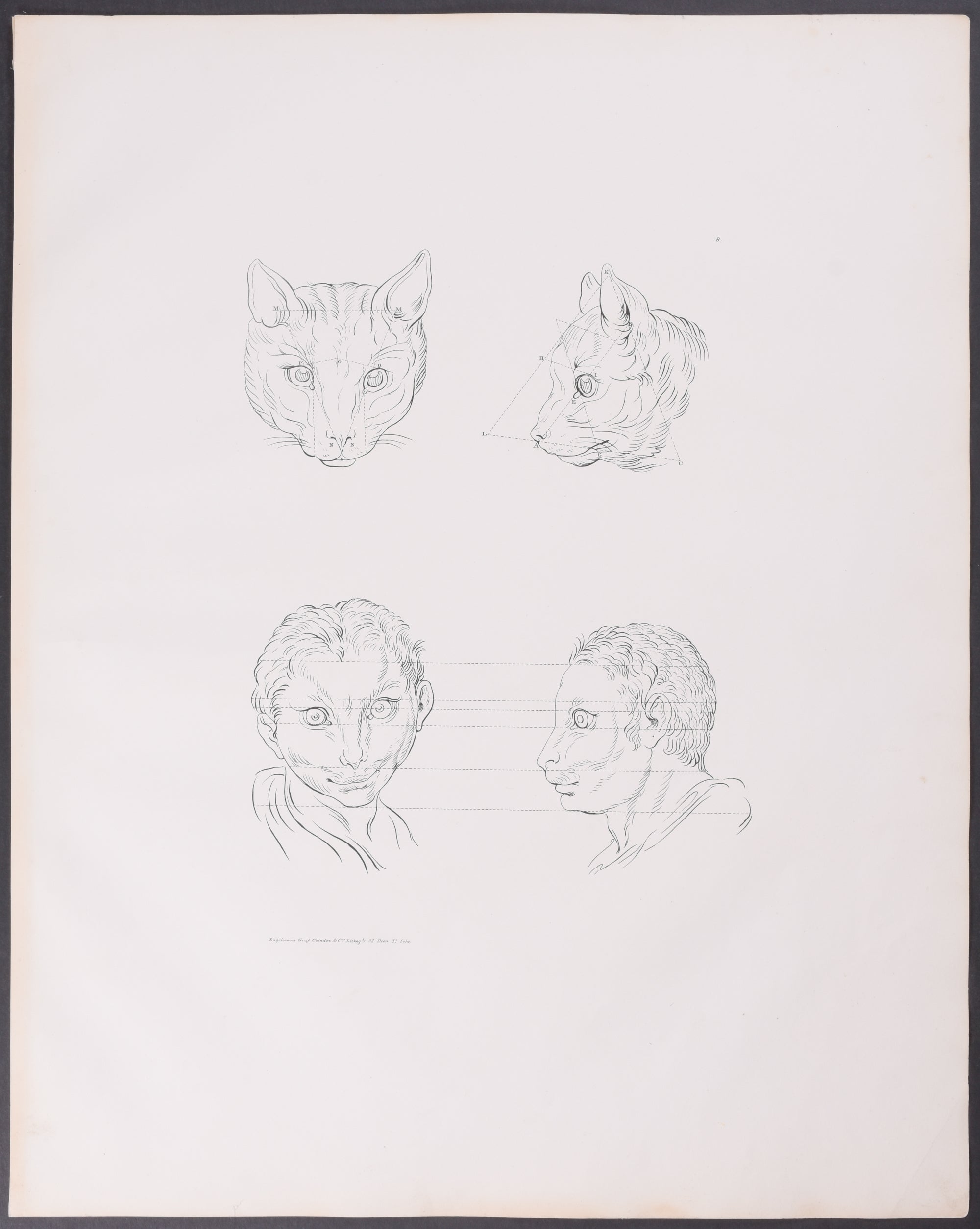 Man as Cat
