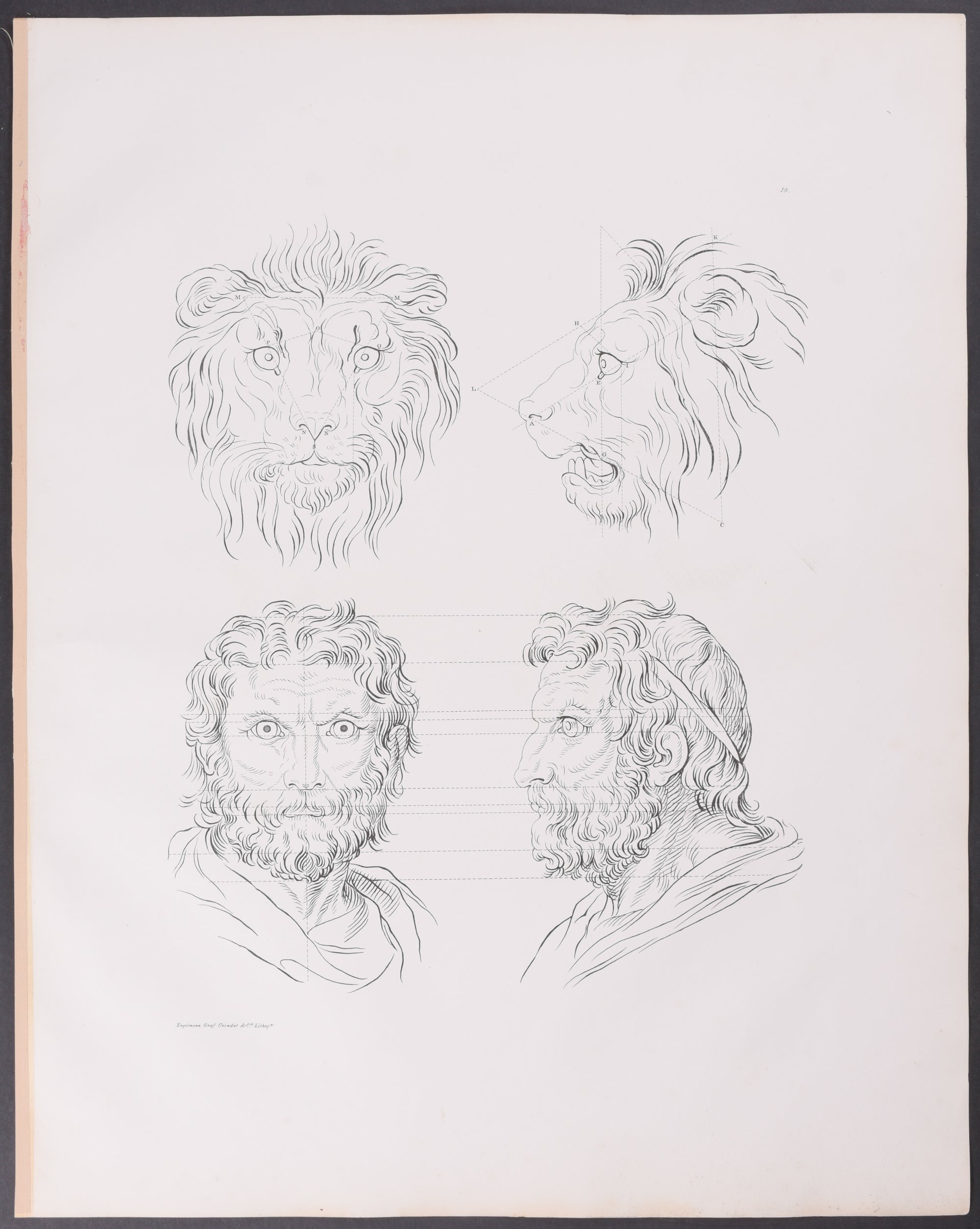 Man as Lion