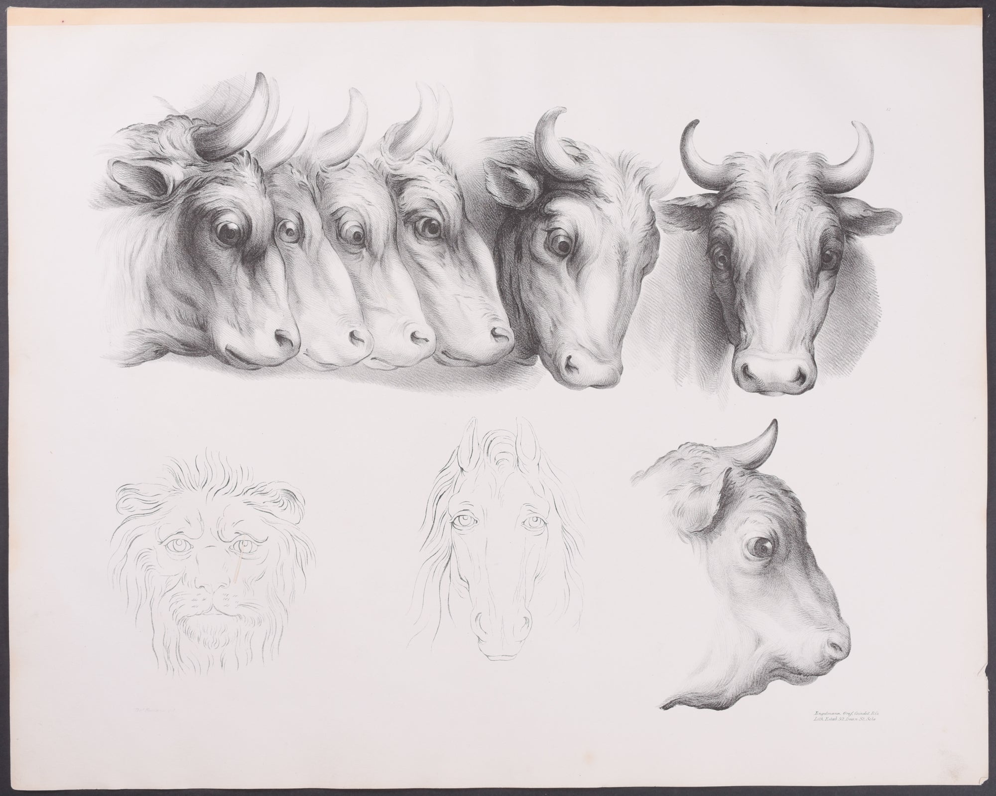 Heads of Oxen, Lion, and Horse with Human Eyes
