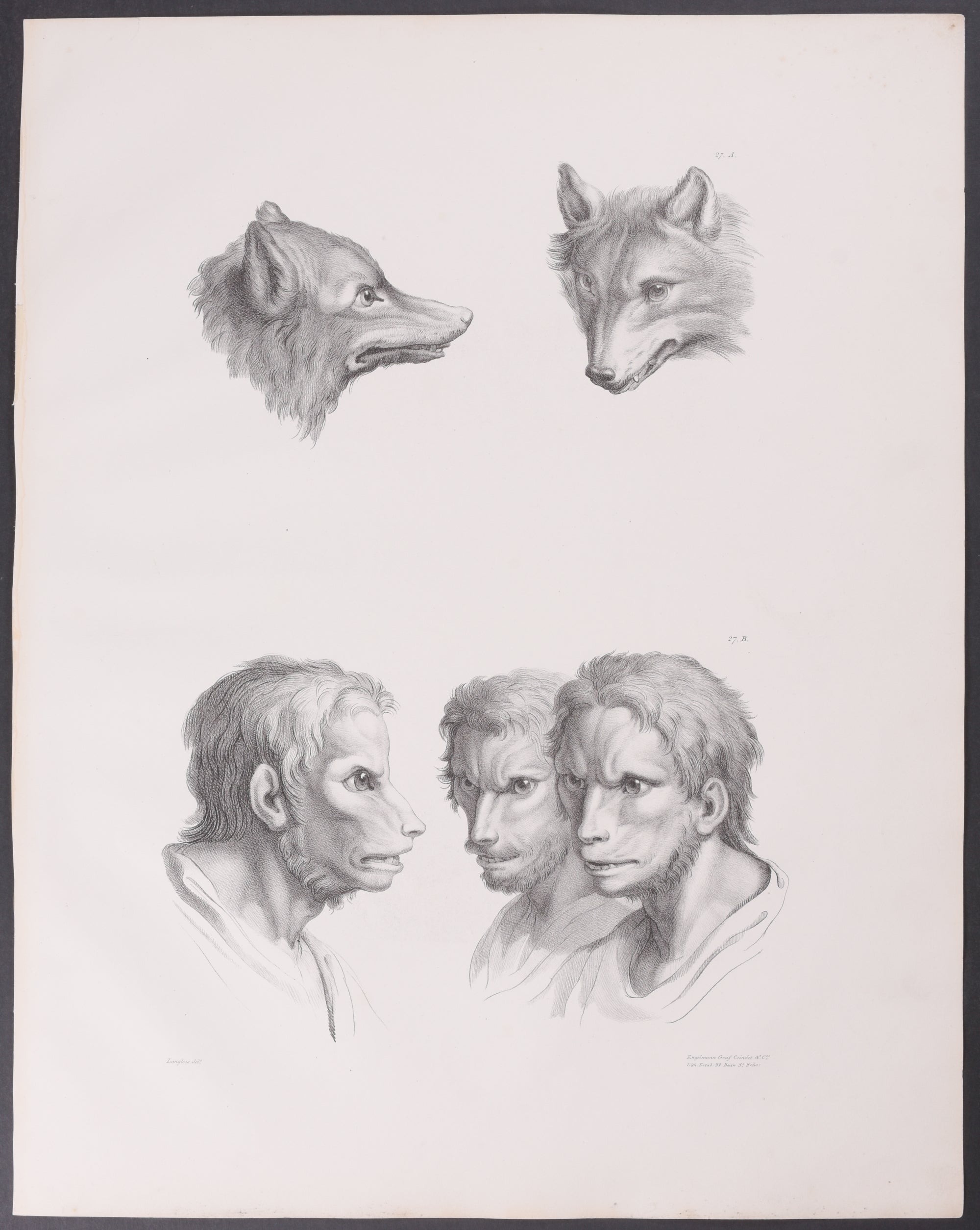 Human Eyes, Monkey Eyes, Camel Eyes