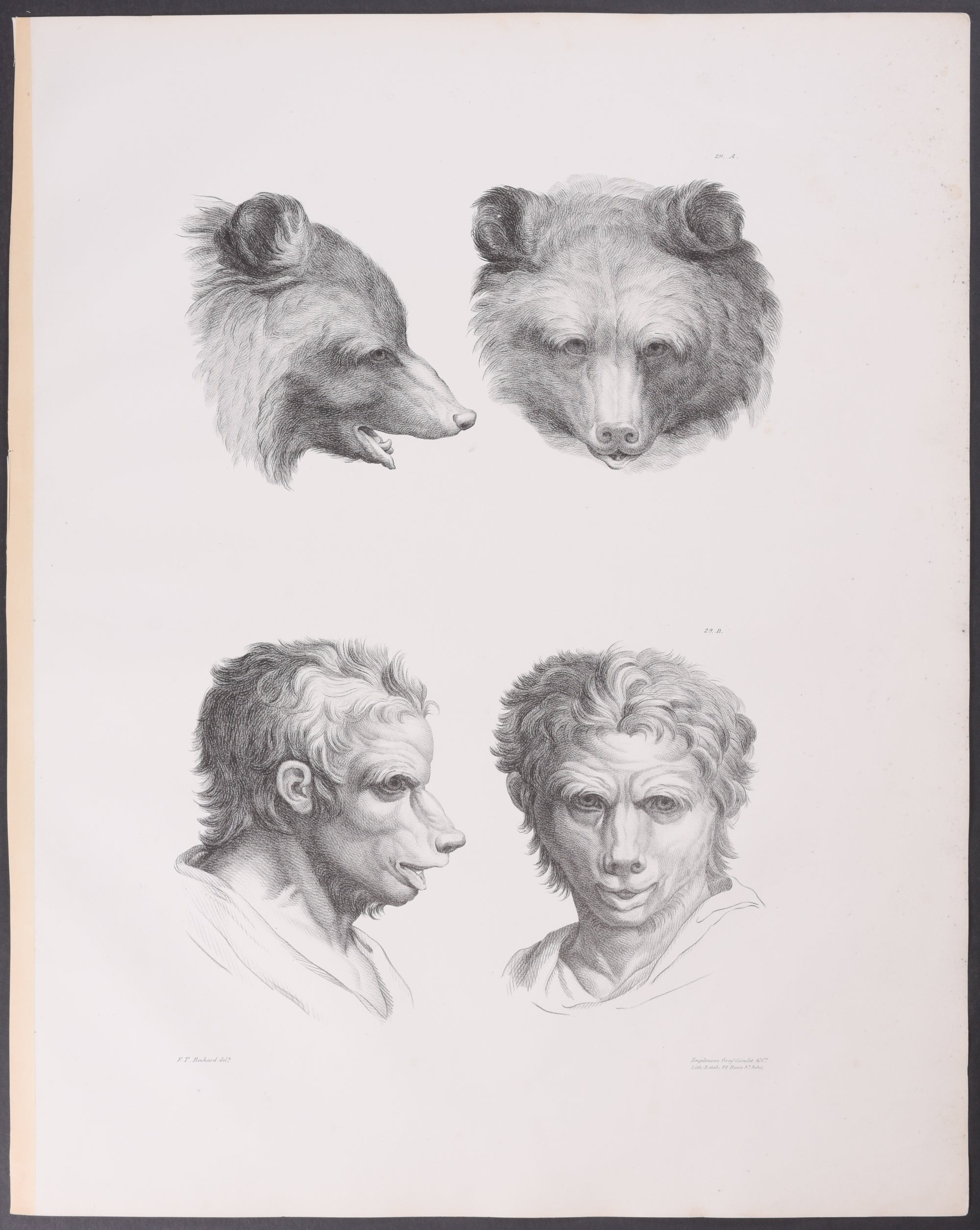 Wolf Eyes, Fox Eyes, Piglet Eyes