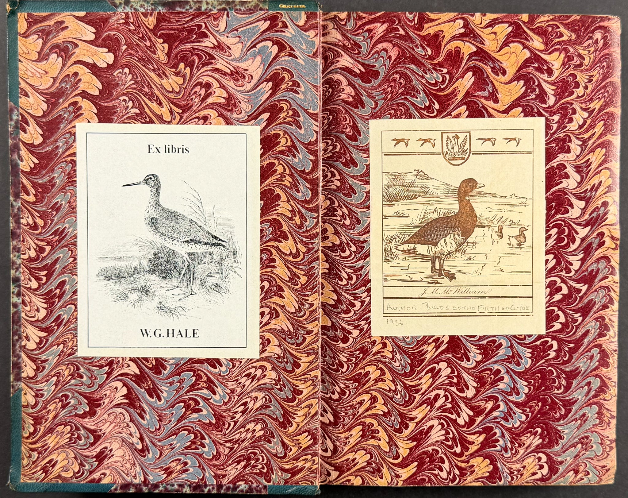 Natural History of Birds of Paradise and Epimachus