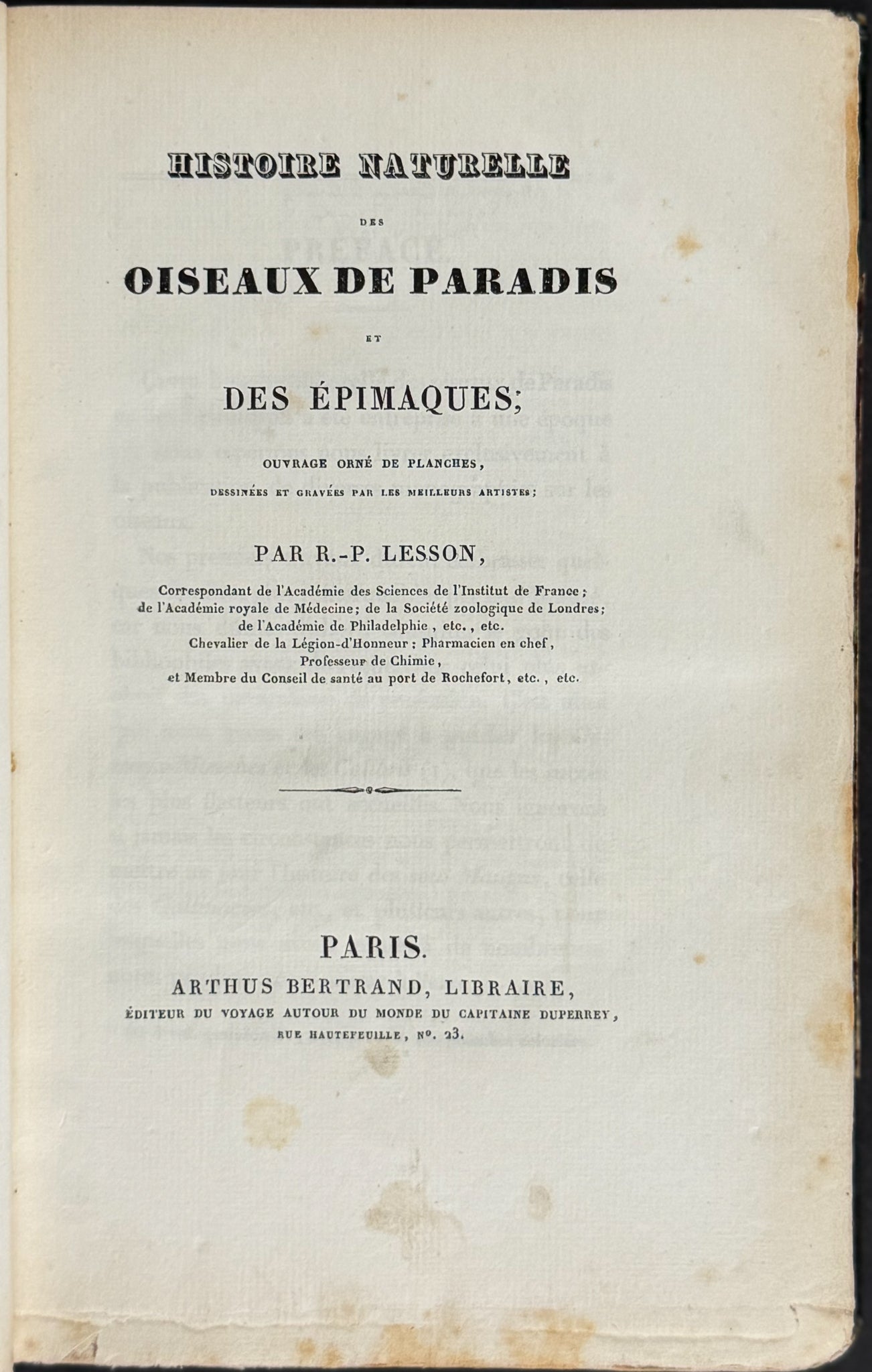Natural History of Birds of Paradise and Epimachus