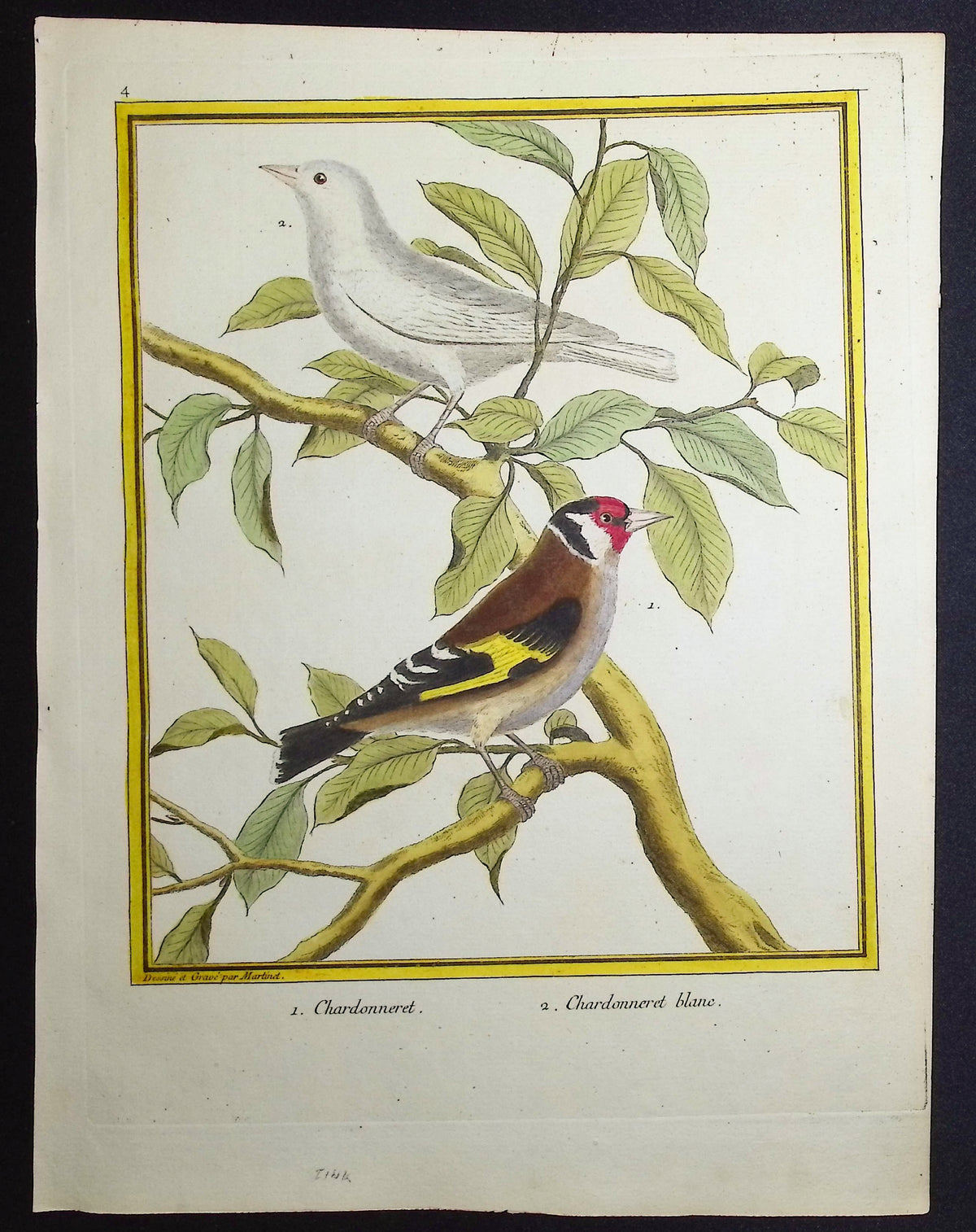 Goldfinch
