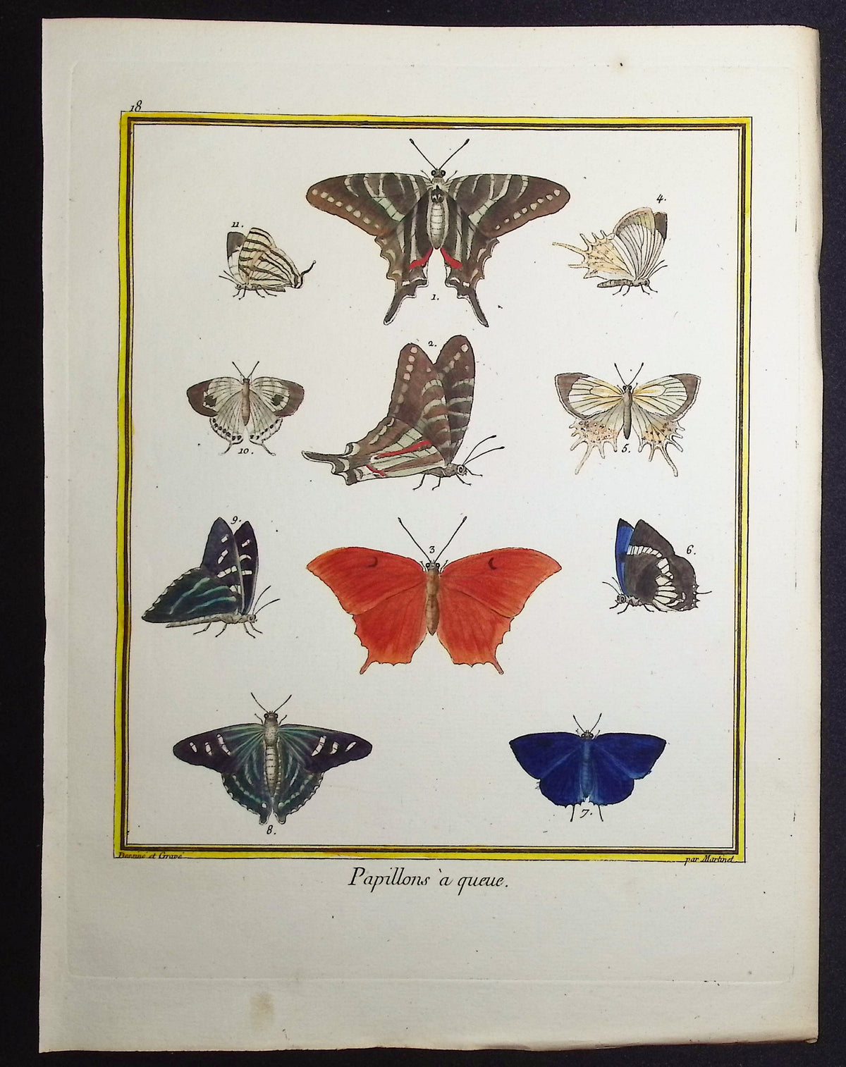 Butterflies