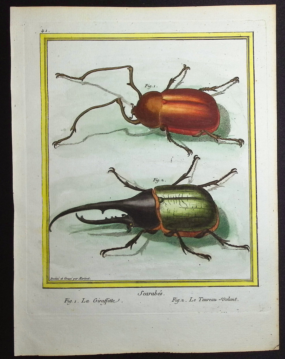Scarabs