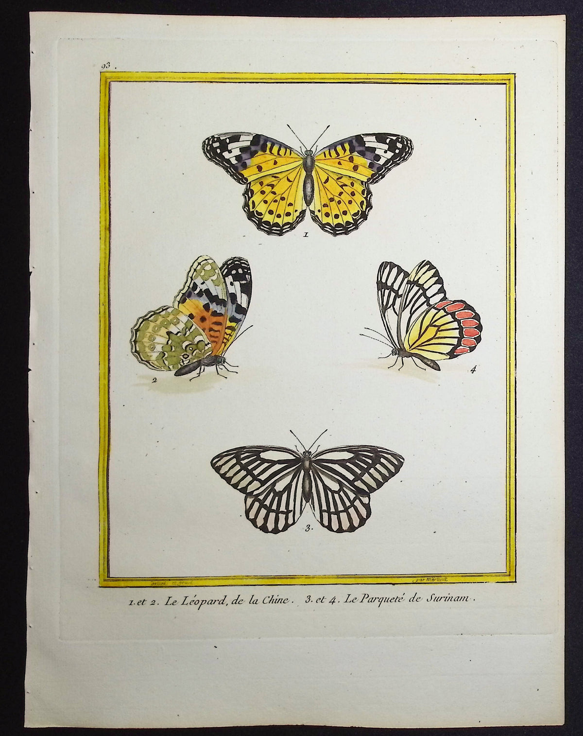 Butterflies