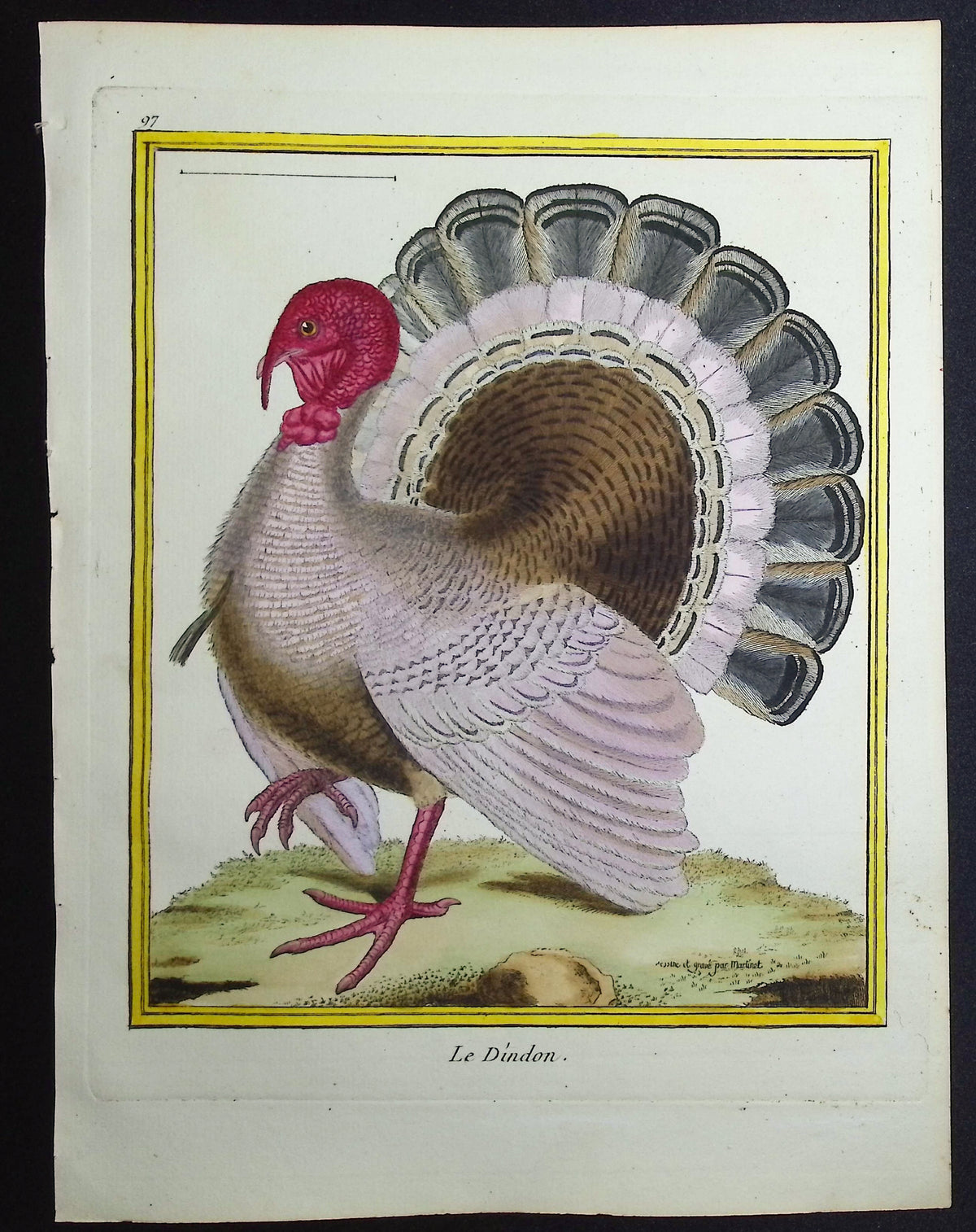 Turkey