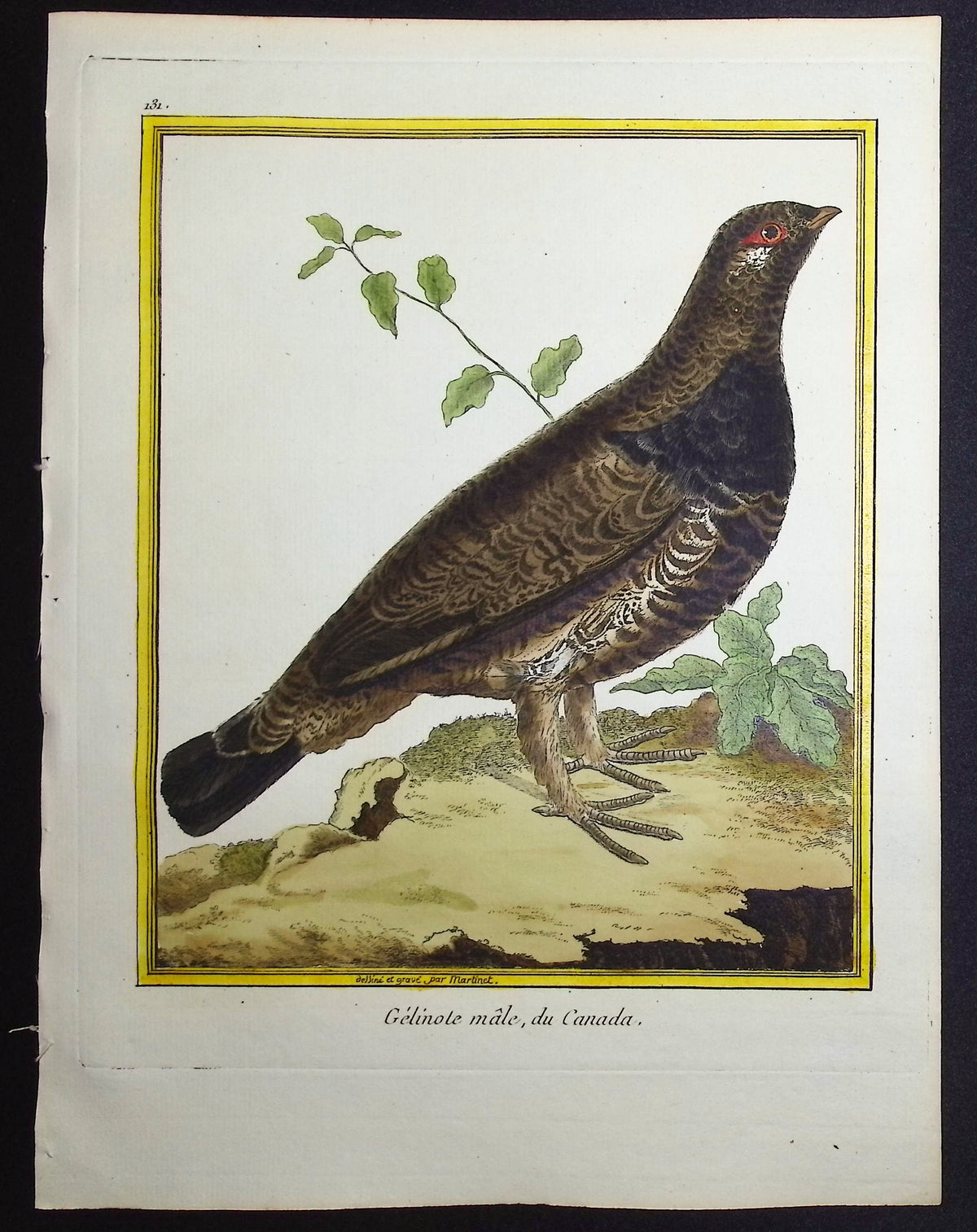 Grouse