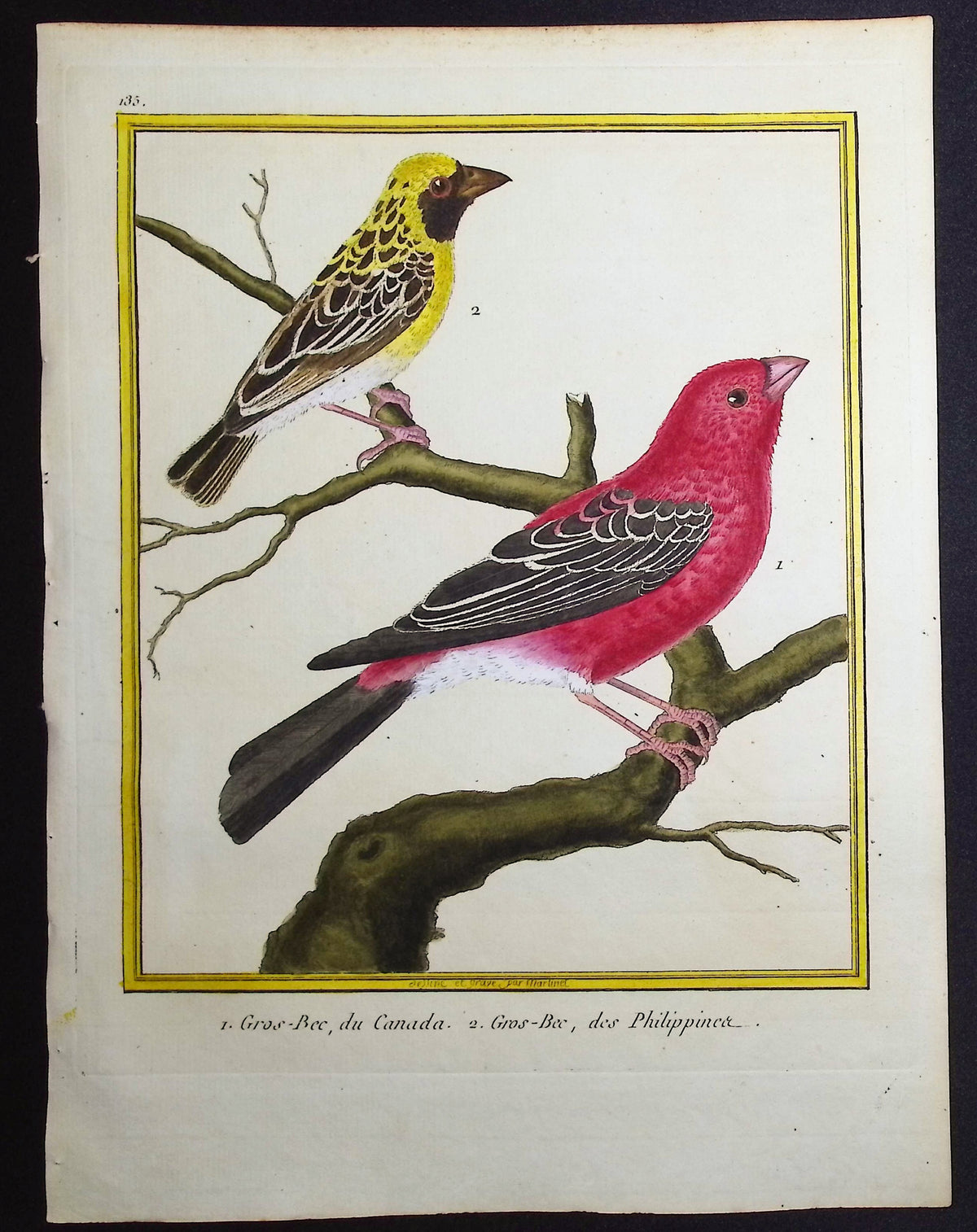 Grosbeak