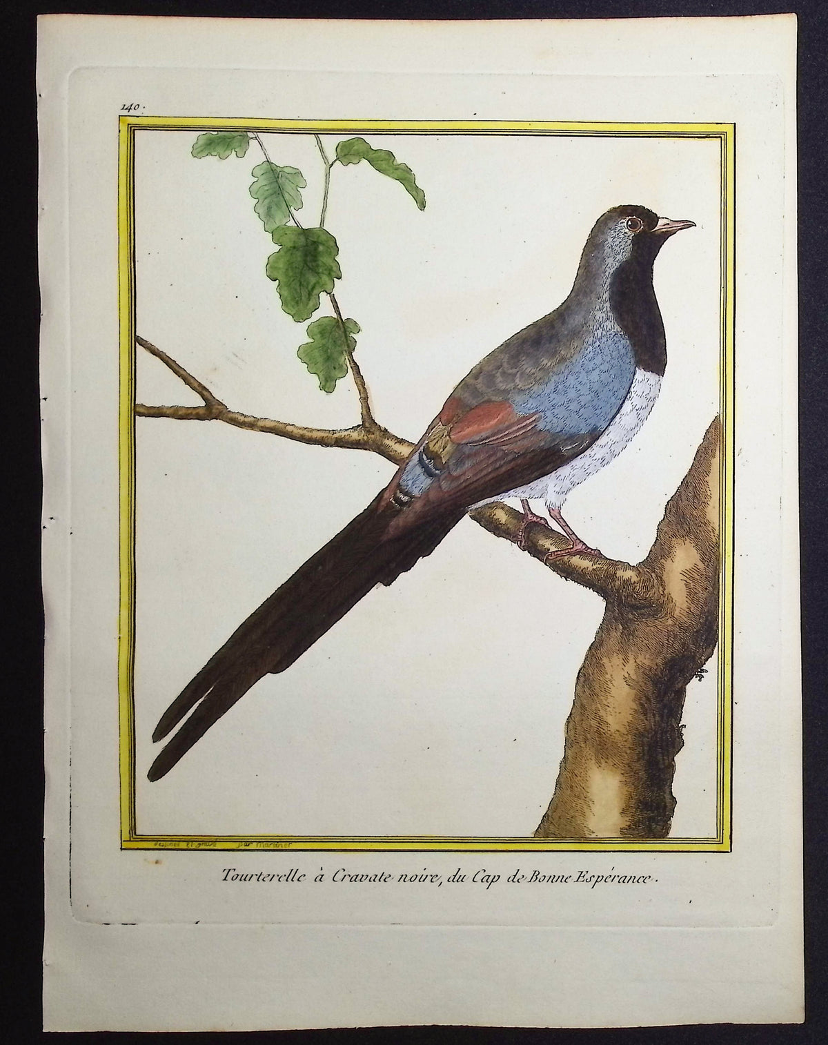 Turtledove